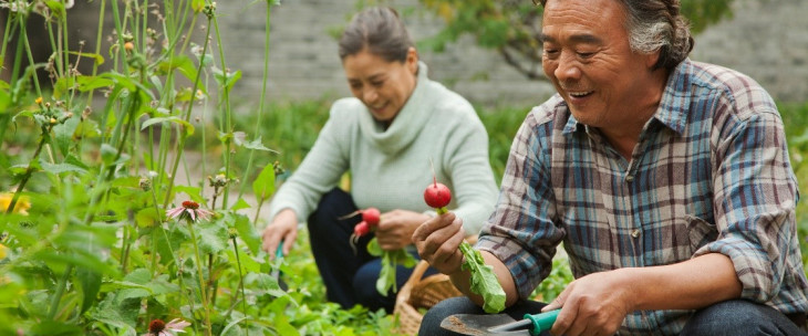 Comfortabel & Convenient Gardens for Retirees