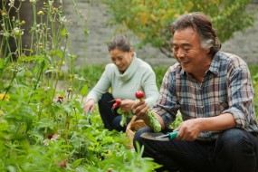 Comfortabel & Convenient Gardens for Retirees