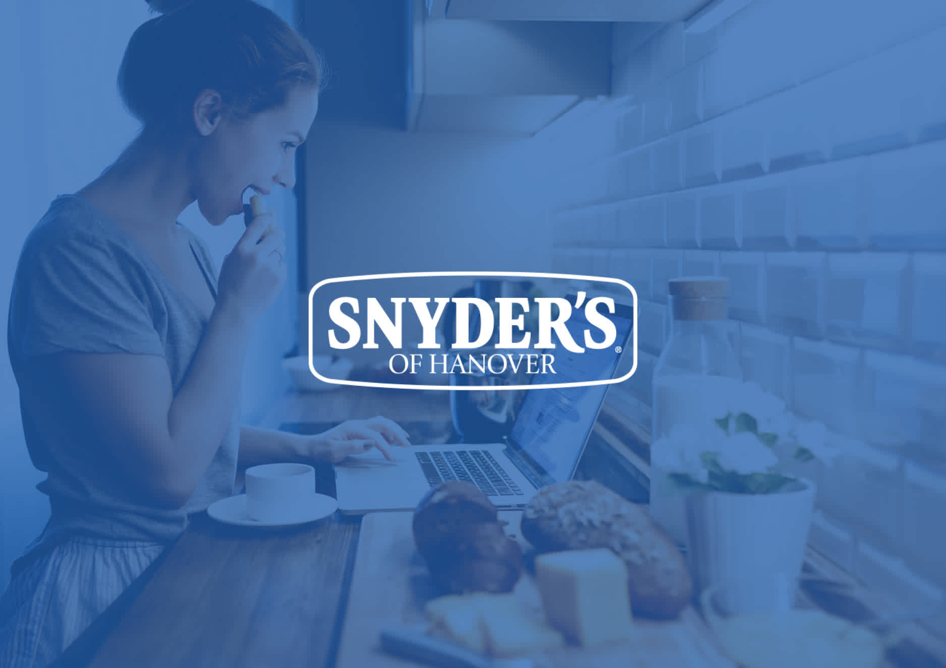 8451 Case Study Header Image 900 X 635 Snyders