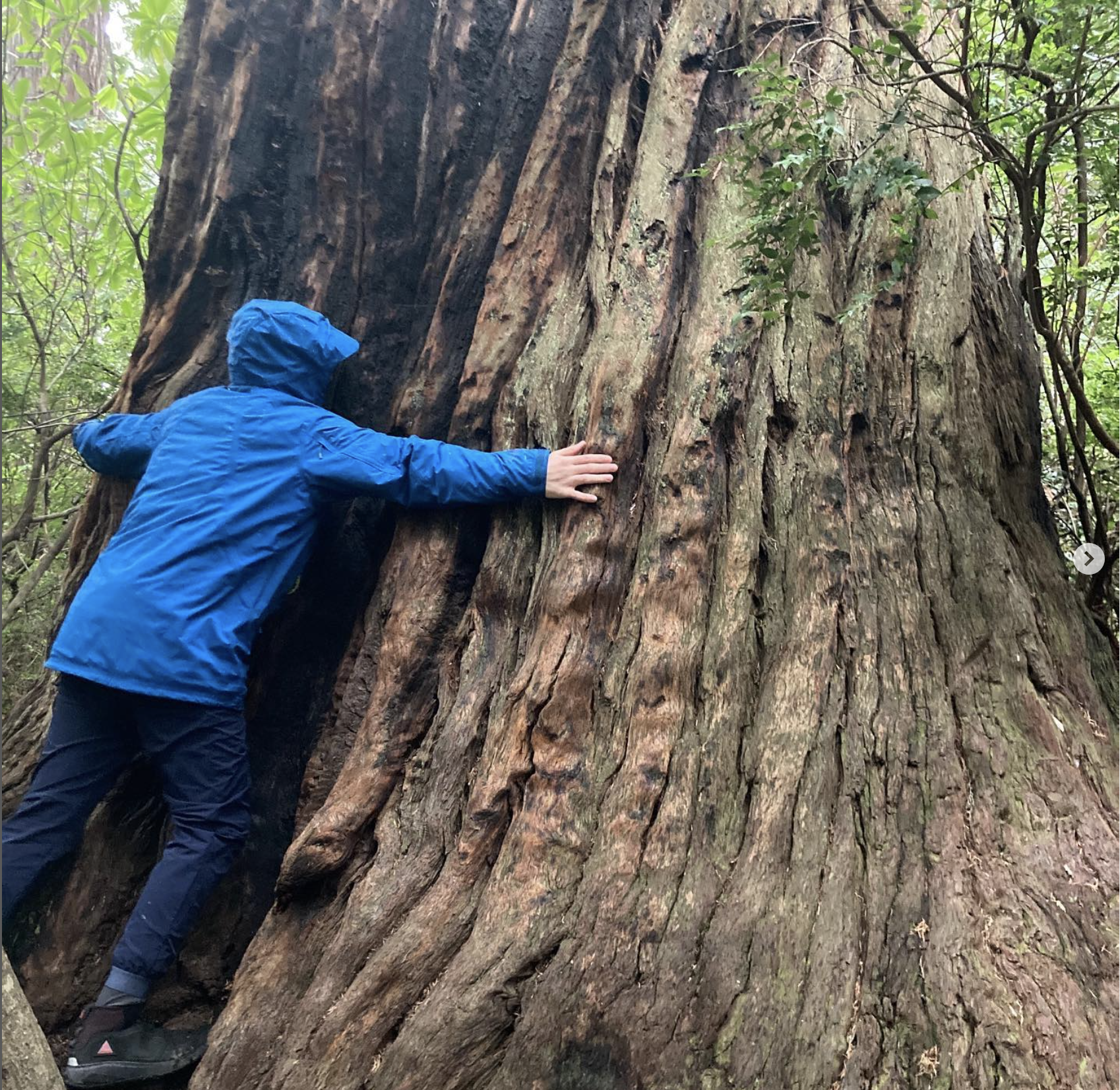 Screenshot 2023 12 20 At 8 18 28 AM