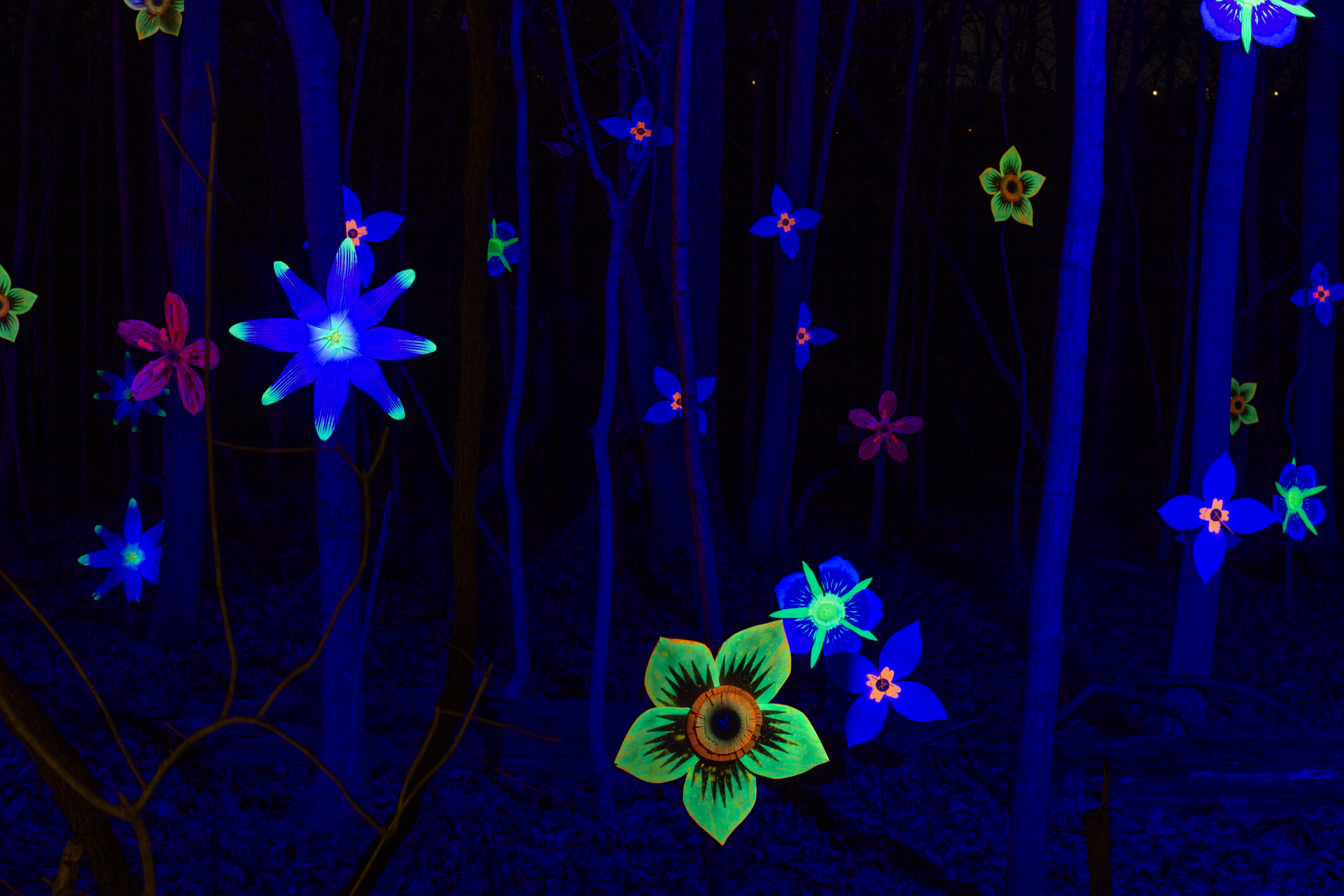 Glow Flowers