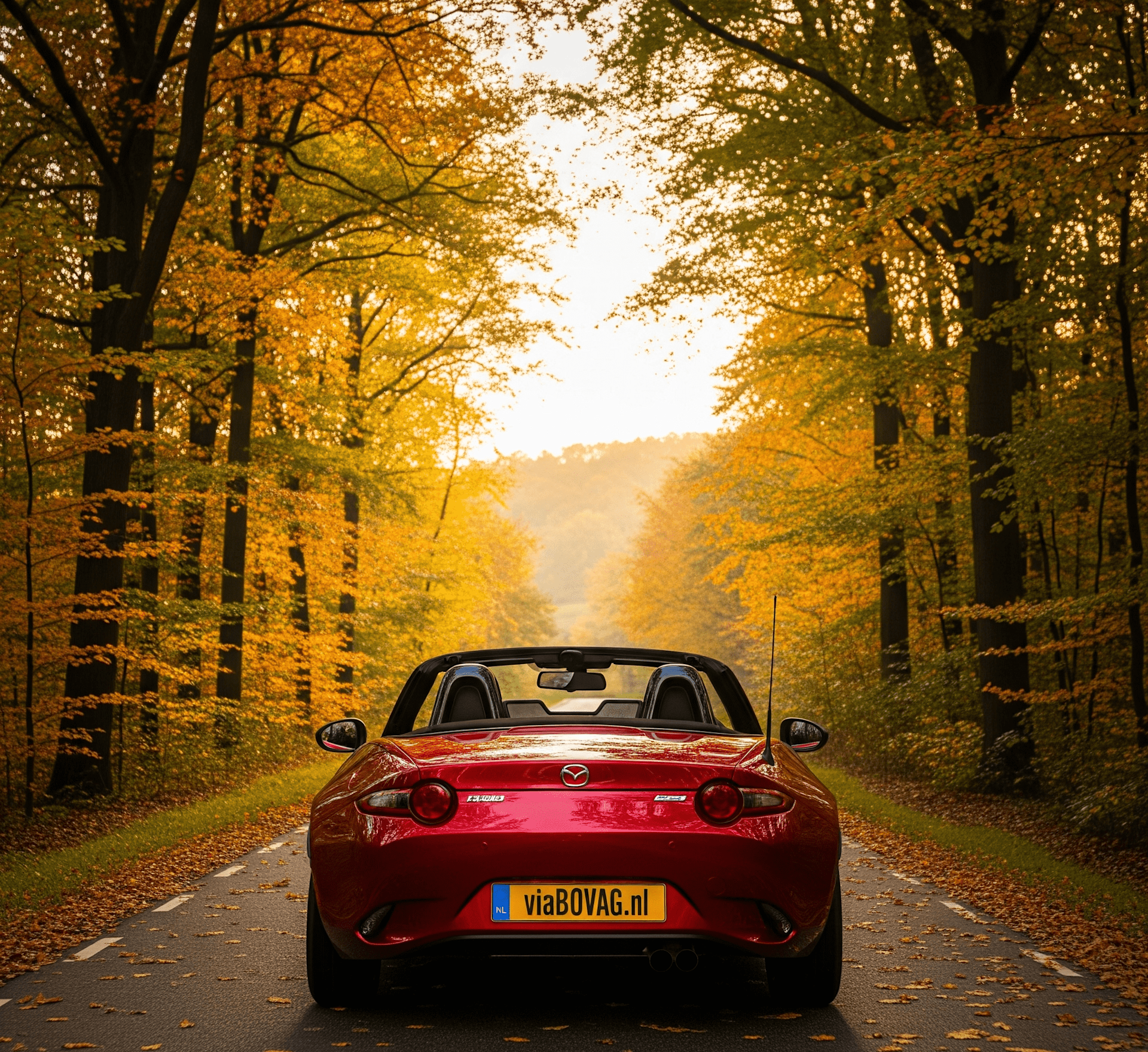 5 mooie autoroutes voor in de herfst