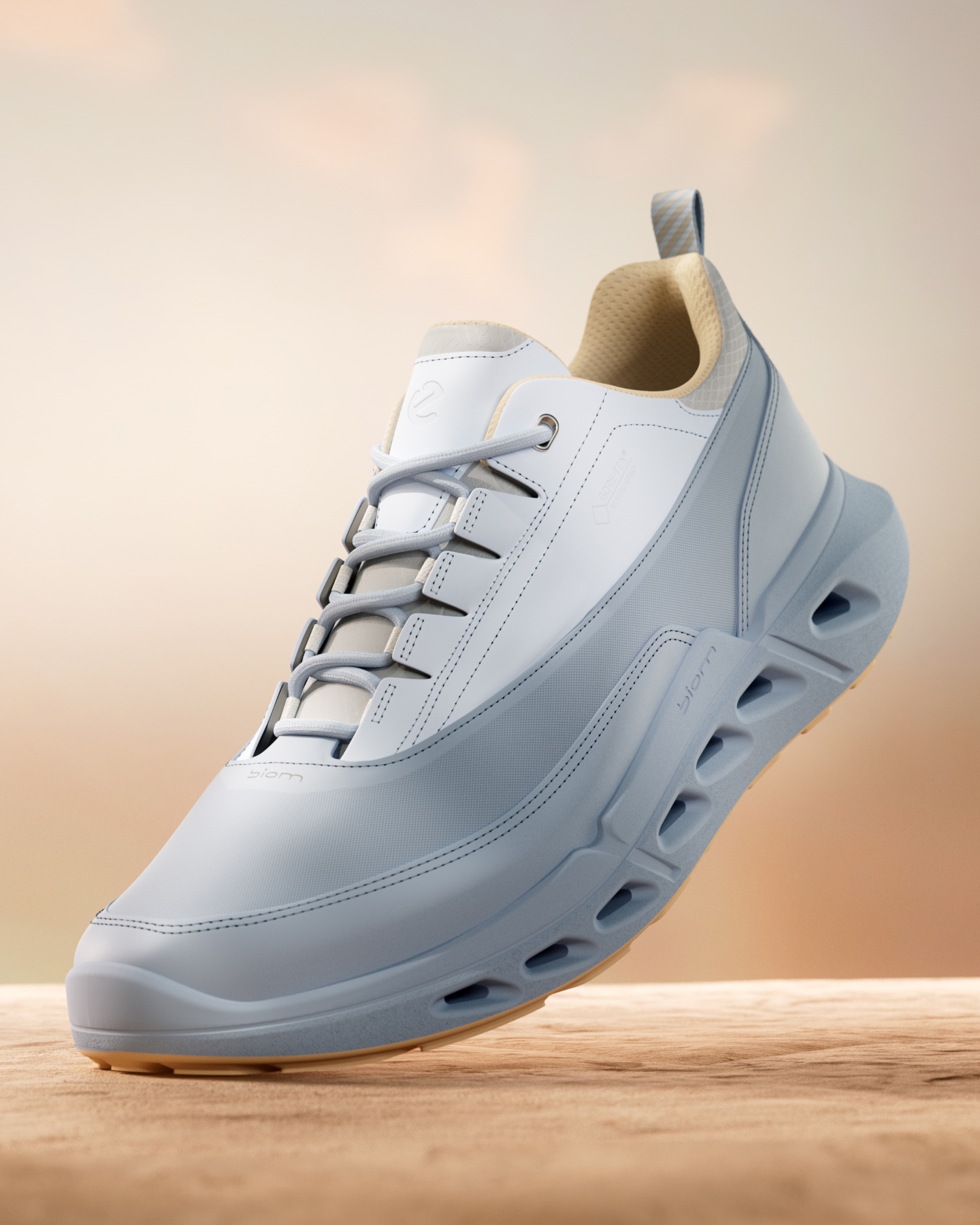 ECCO BIOM 720 GORE-TEX® | ENCORE Cushioning