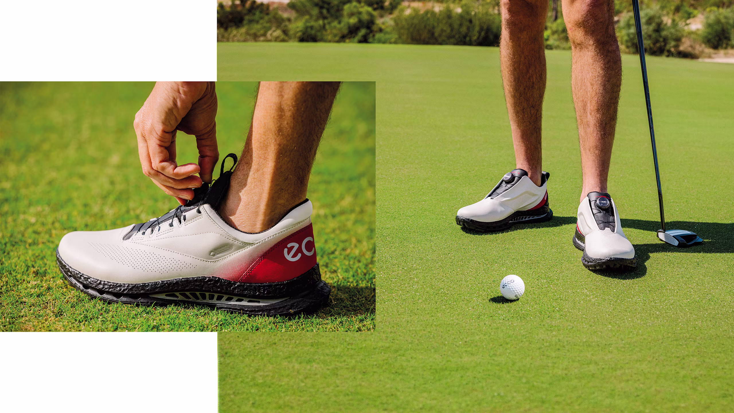 golf banner 7.29