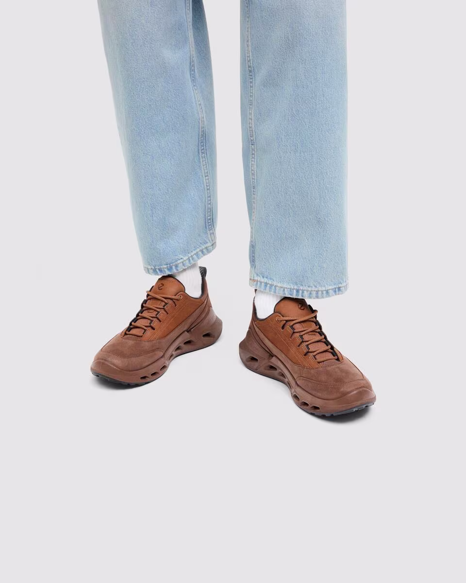 85030461642 Biom720 B rendition Screen