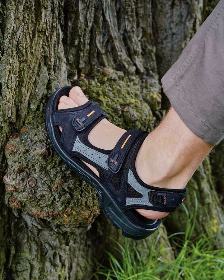 The All-Terrain Walker