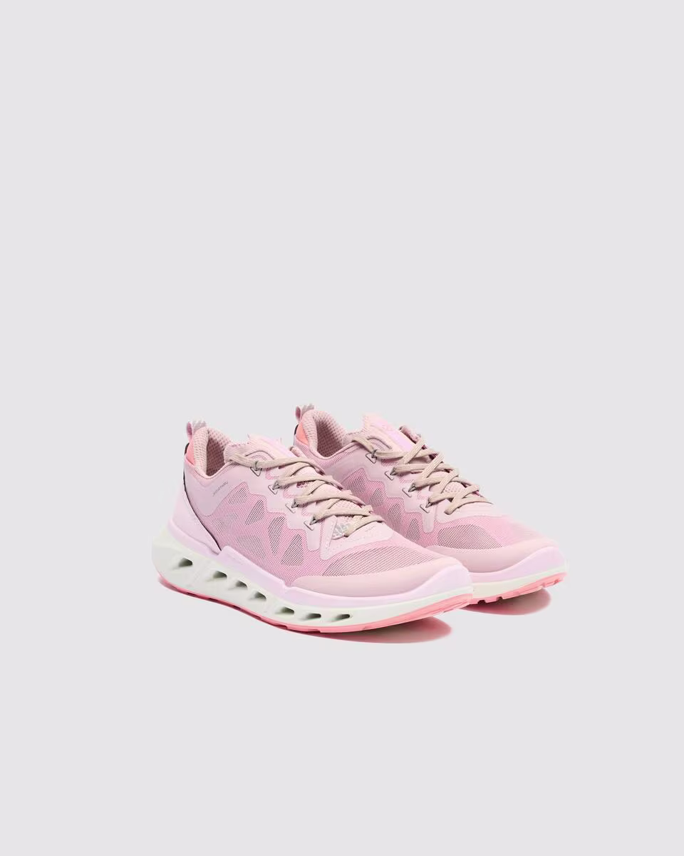 85031361643 Biom720 C rendition Screen