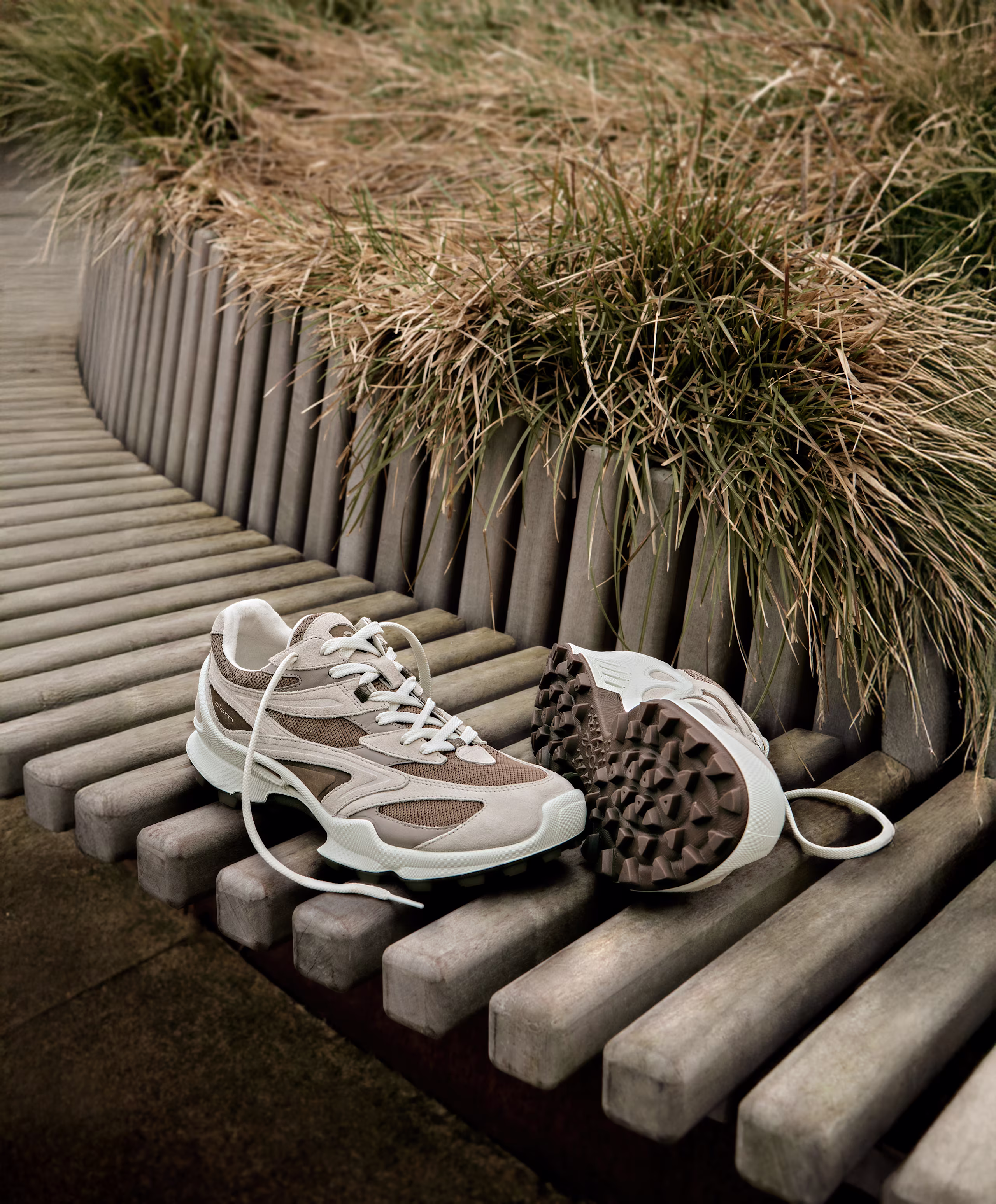 Active Lifestyle - 80347461419 - 2