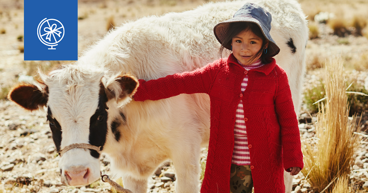 Compassion Cow Cow - Gifts of Compassion | Compassion Australia