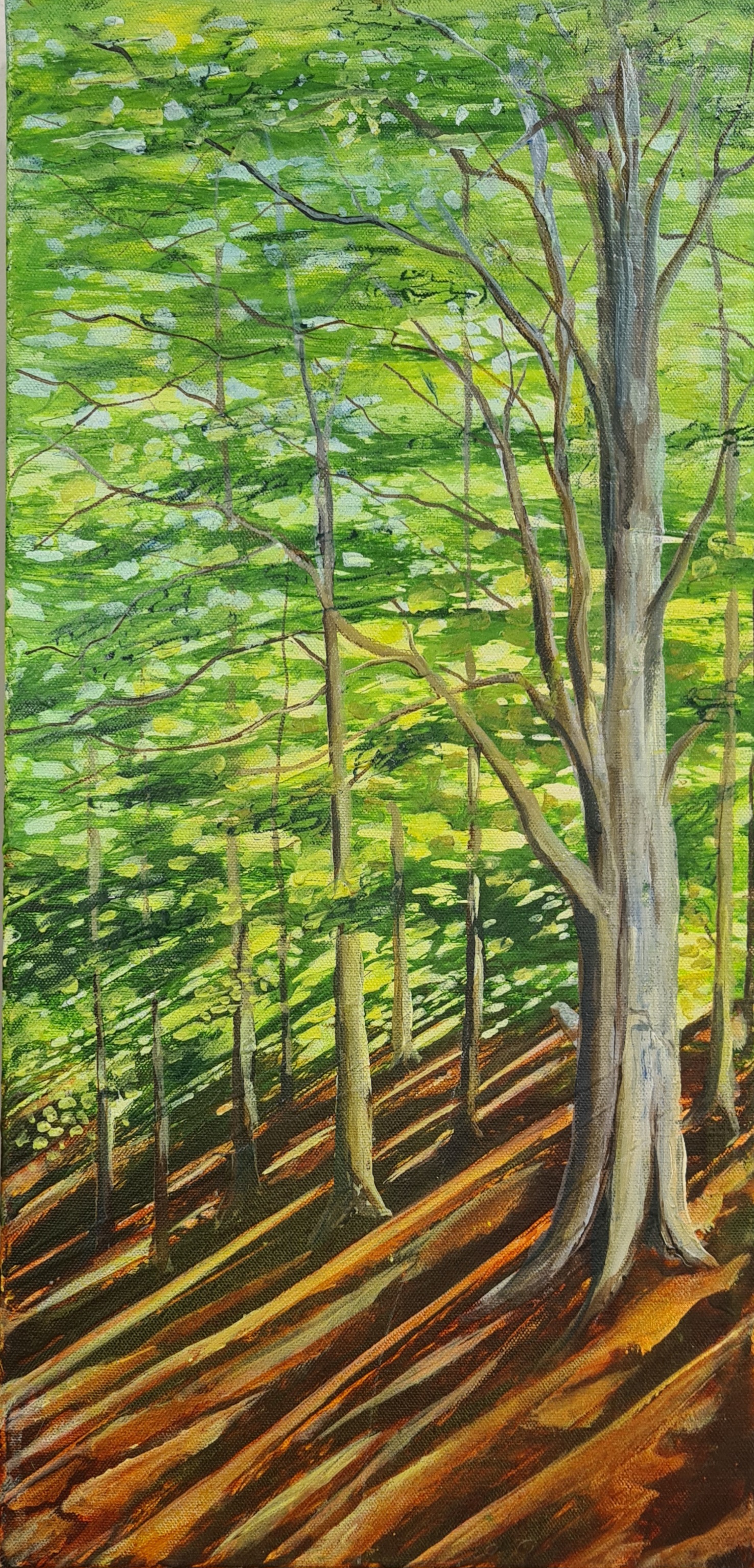 Dappled Light - Spring Beech