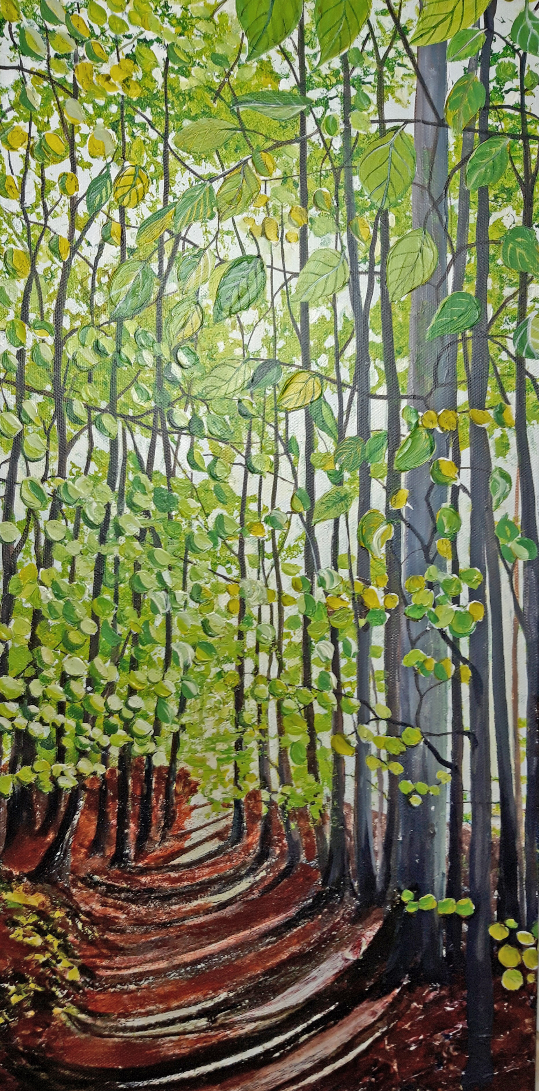 Spring Beech Ride - Moray