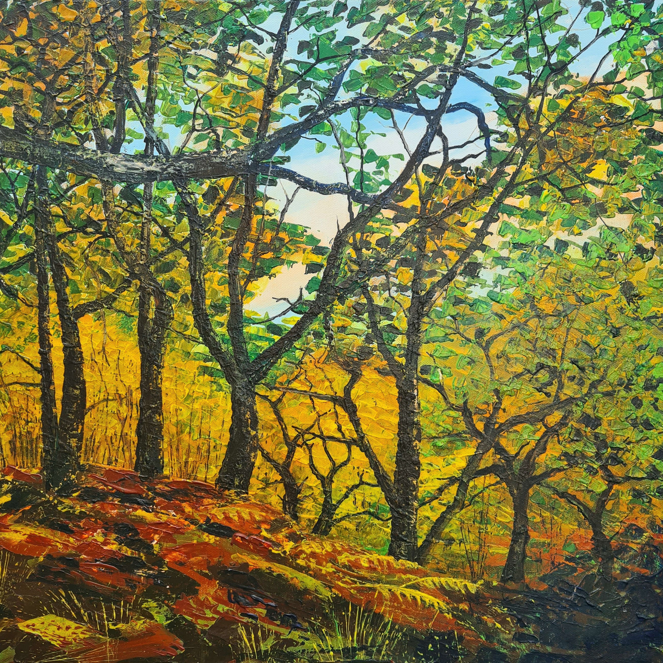 Golden Oakwoods - Abriachan