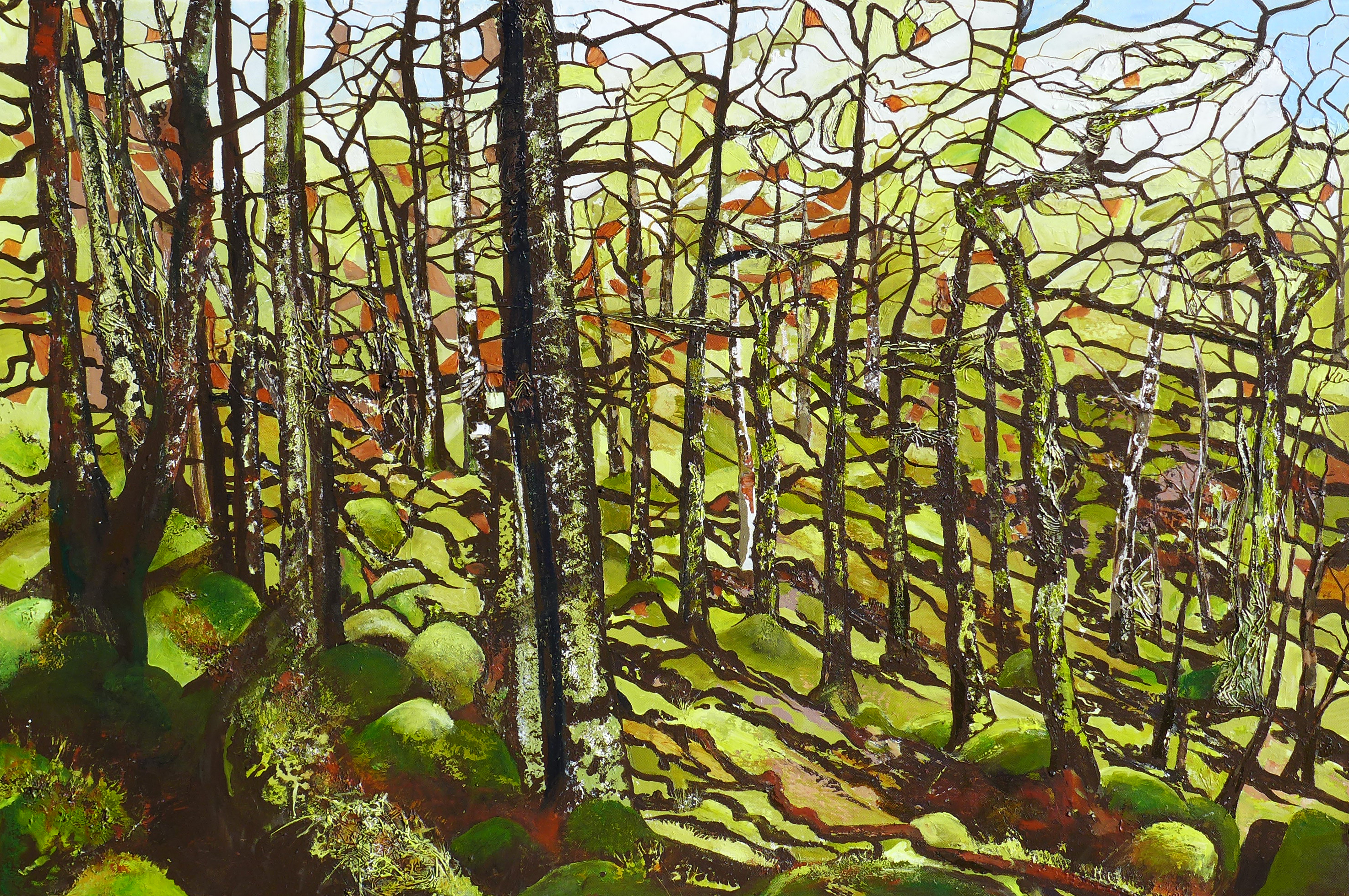 Ariundle Oakwoods - Ardnamurchan