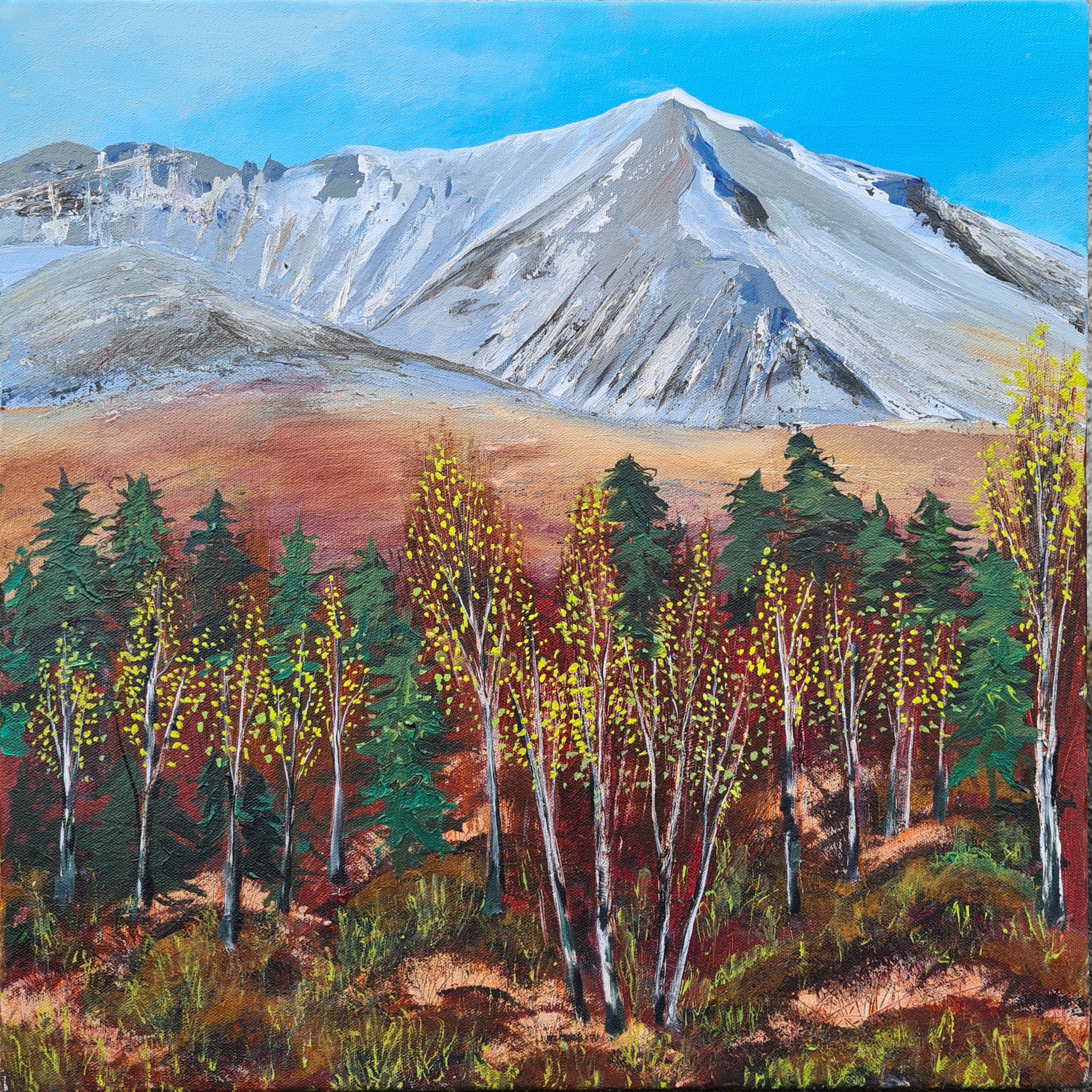 Regeneration Area - Beinn Eighe NNR