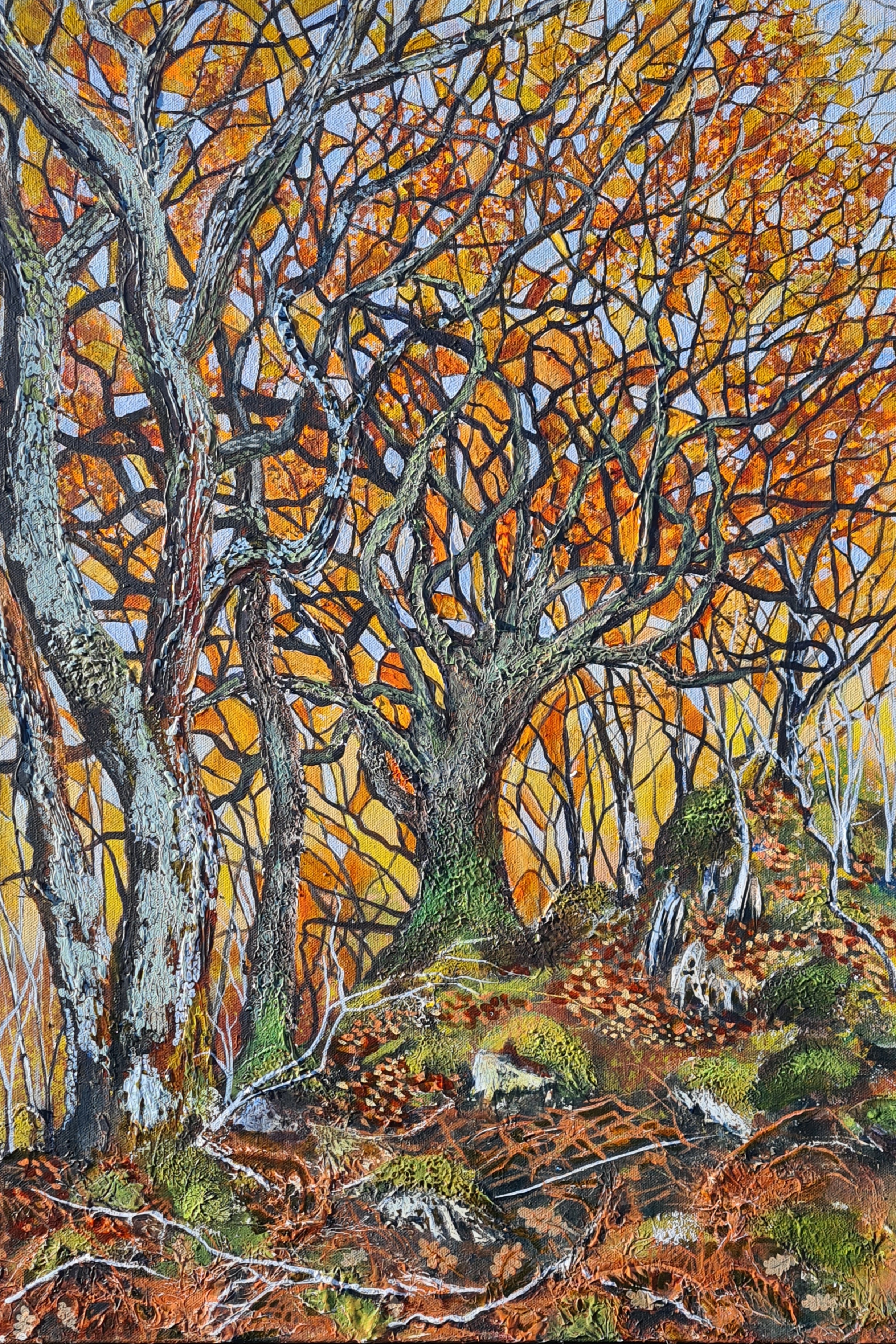 Majestic Witness' - Atlantic Oaks - Morar