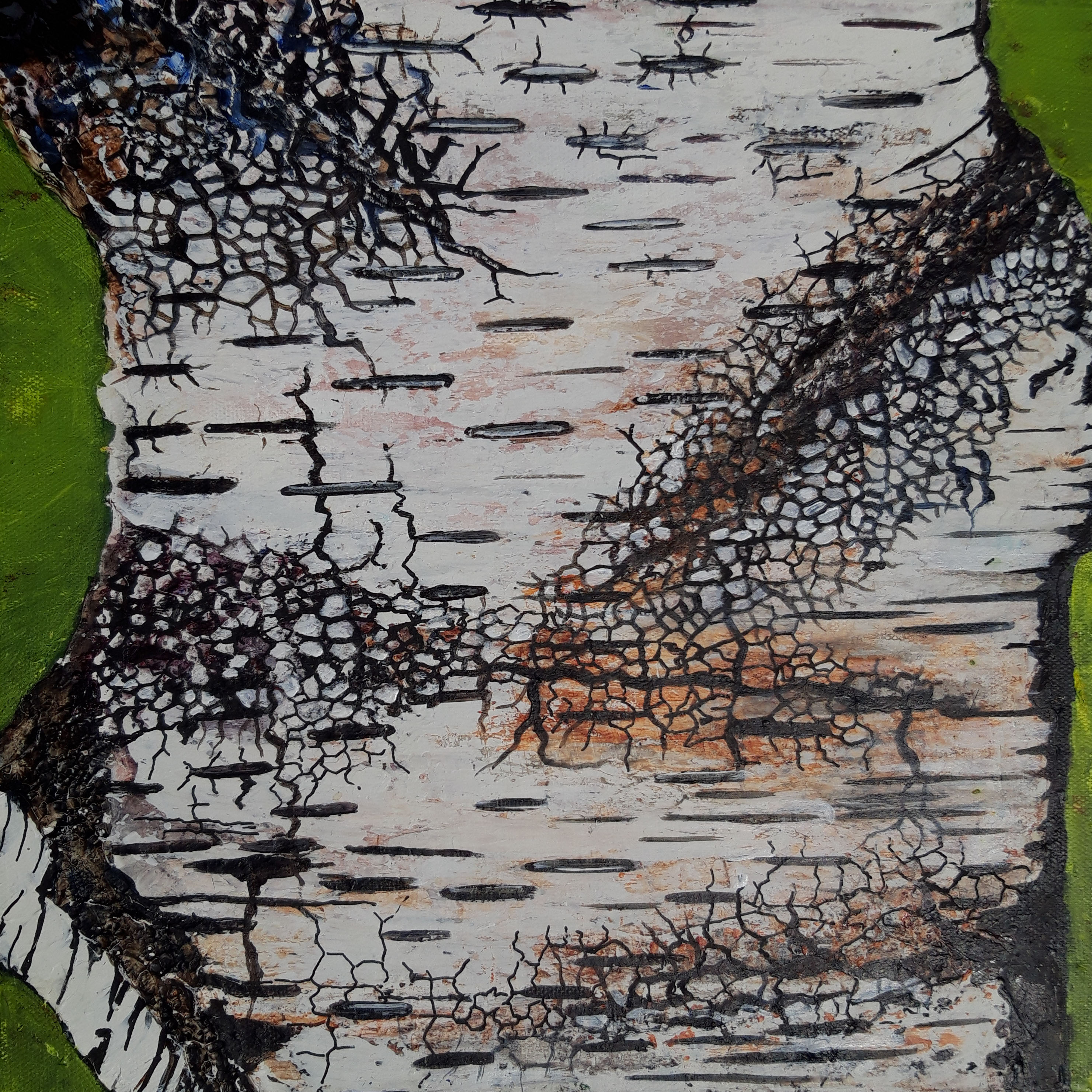 'Crinkling' Birch Bark II