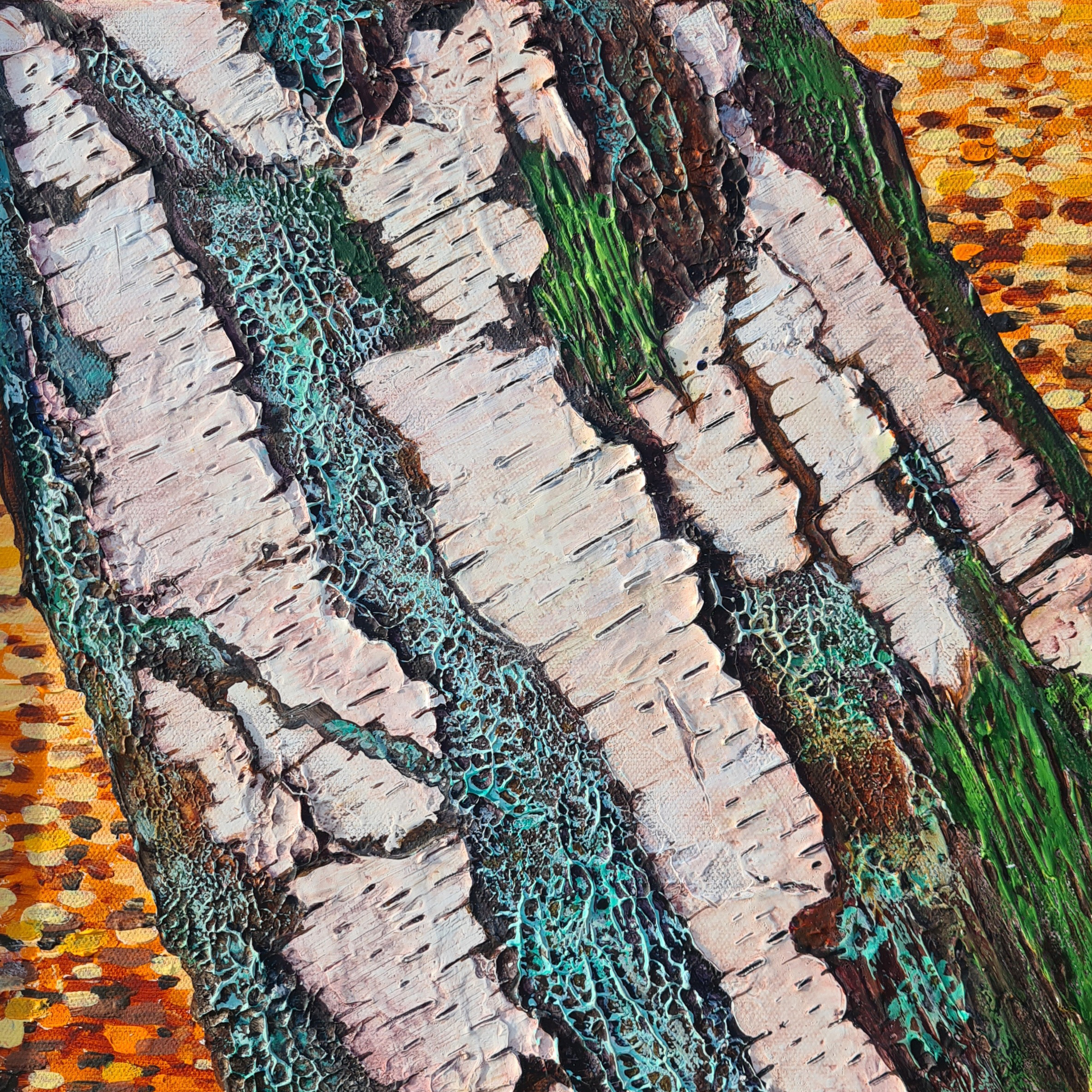 Charismatic - Birch Bark VI
