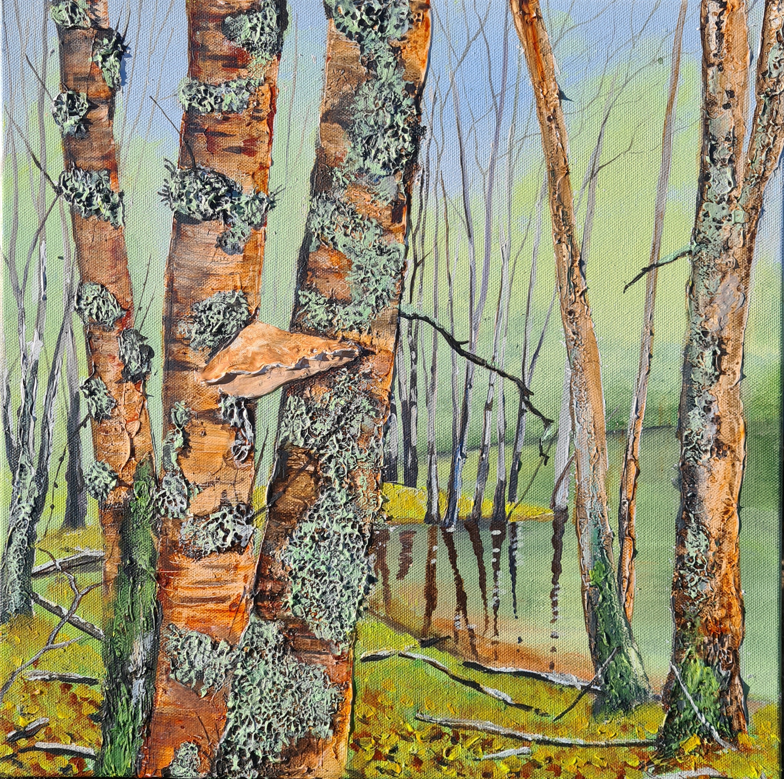 Flooded Birch Wood - Duntelchaig