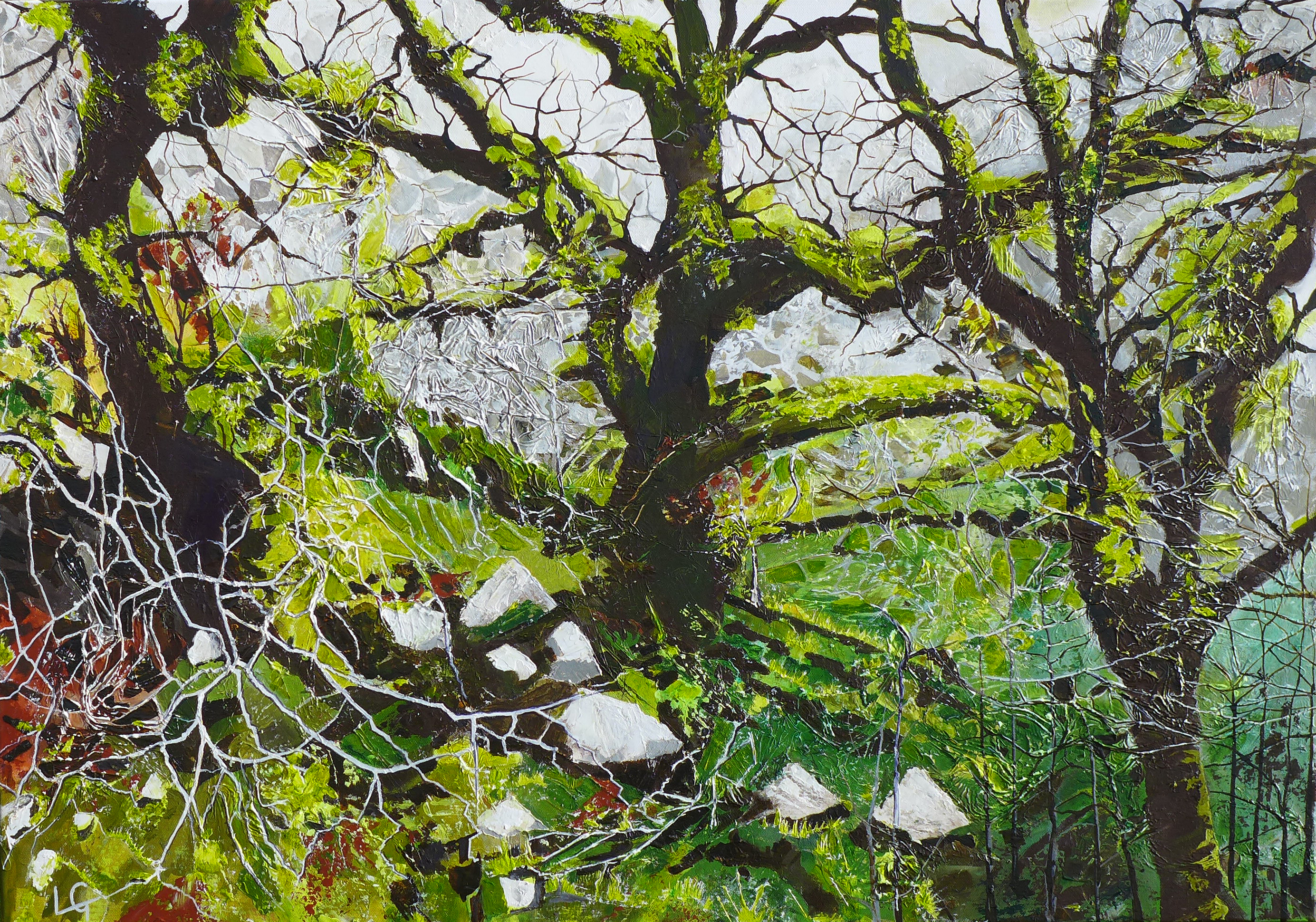 Remnant Mossy Oaks - River Moriston