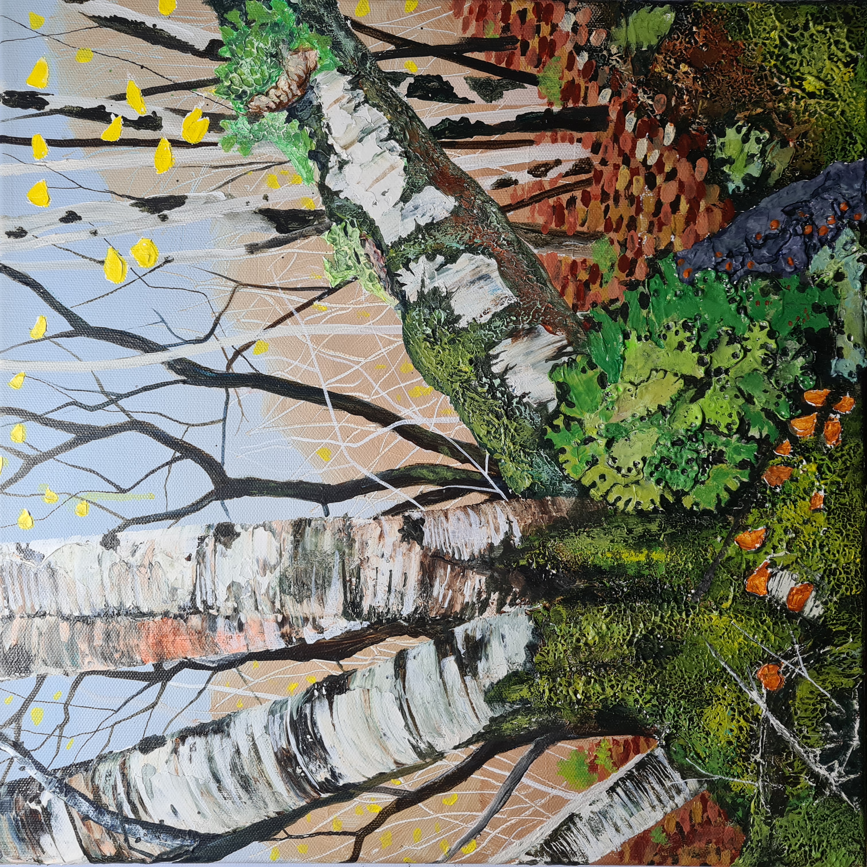 Atlantic Birch - Mallaig Bheag