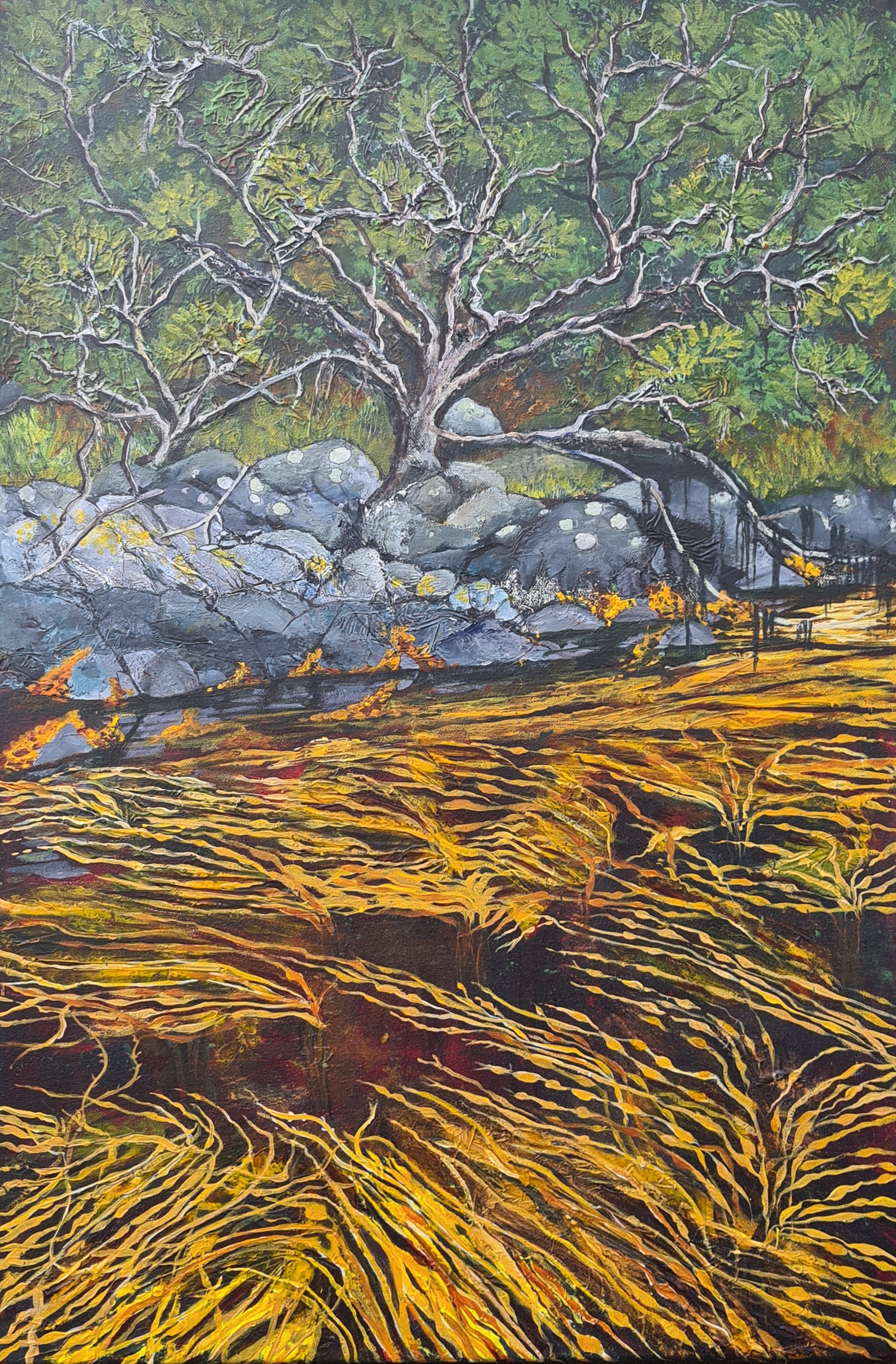 Interface II - Shore Oaks - Loch Nevis