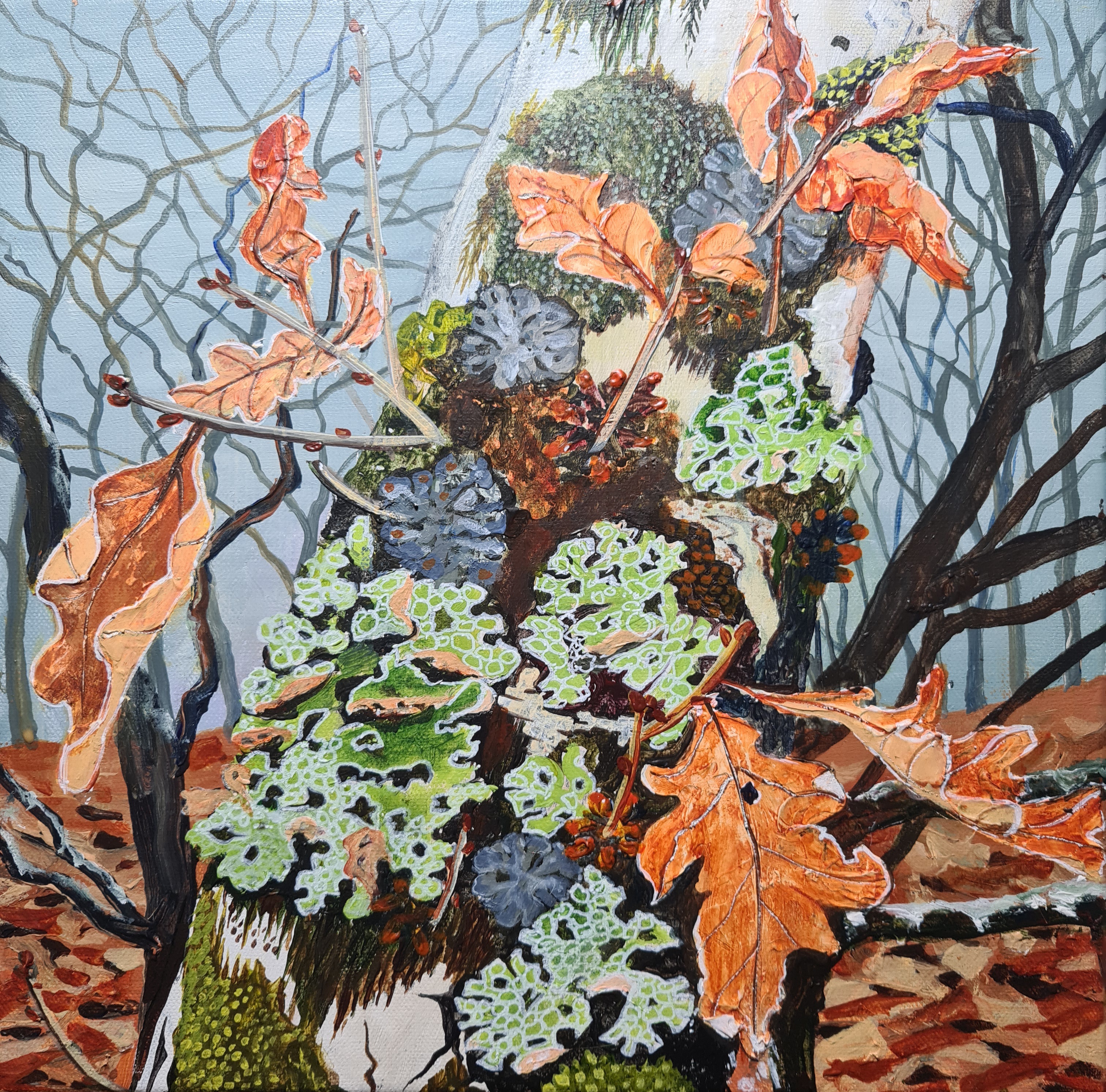 Lichened Oak - Mallaig Bheag