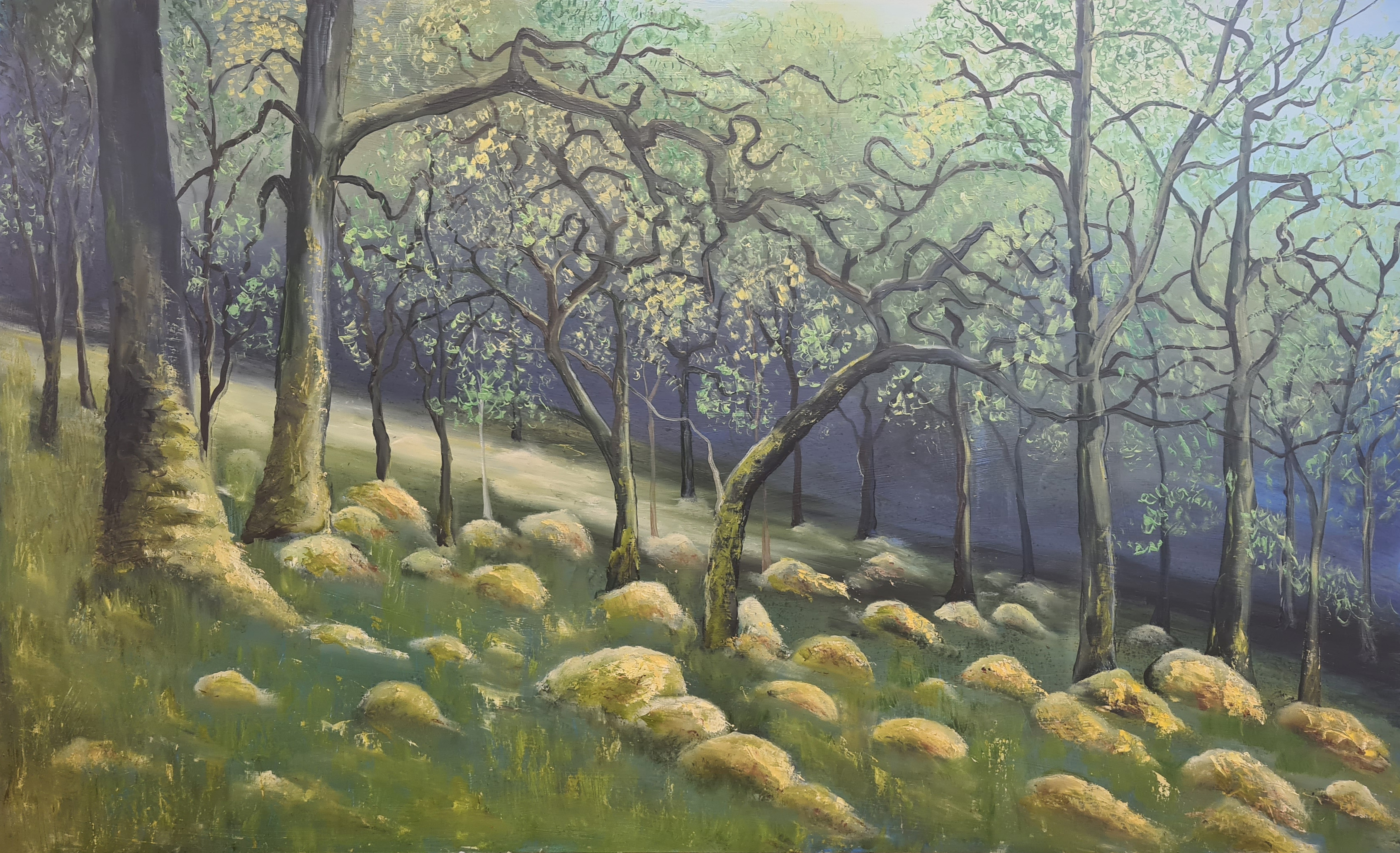 Last Sentinals? Ariundle Oakwoods