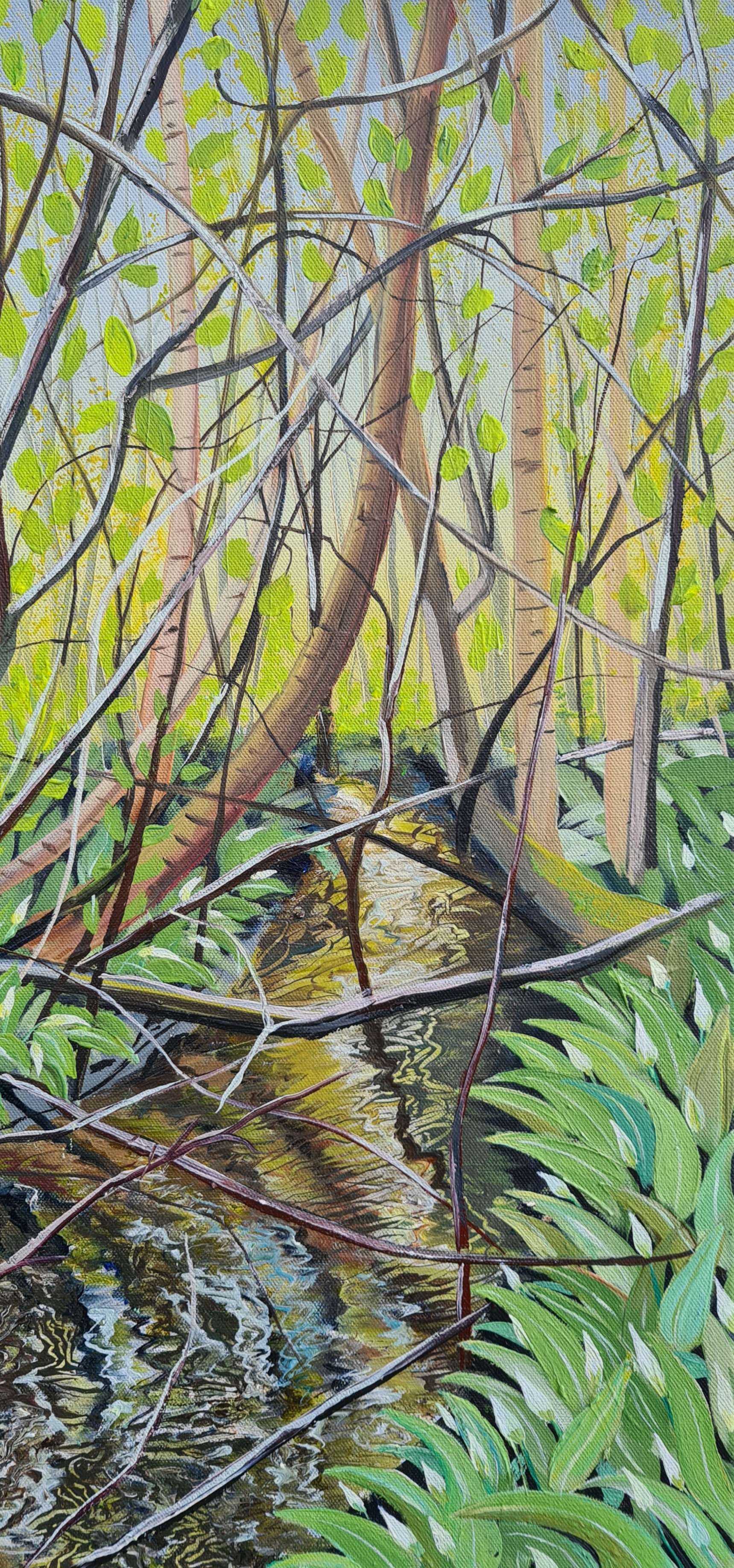 Emergence - Ramson in Bud - River Nairn