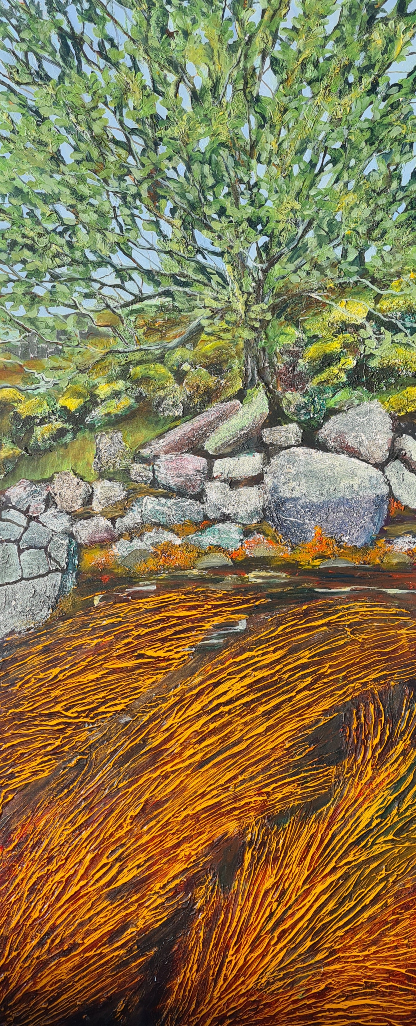 Interface V - Sessile Oak meets Knotted Wrack - Loch Nevis