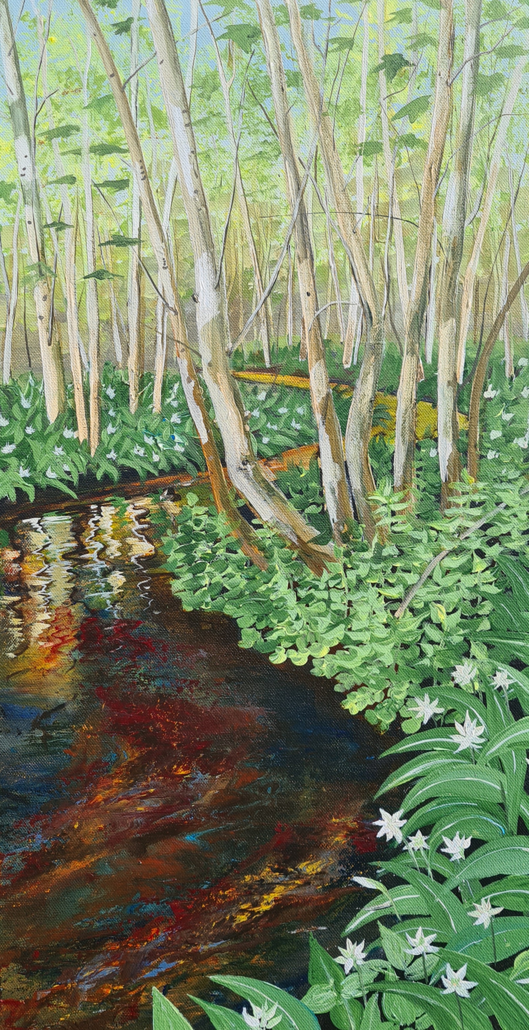 Backwater with Ramsons - River Nairn