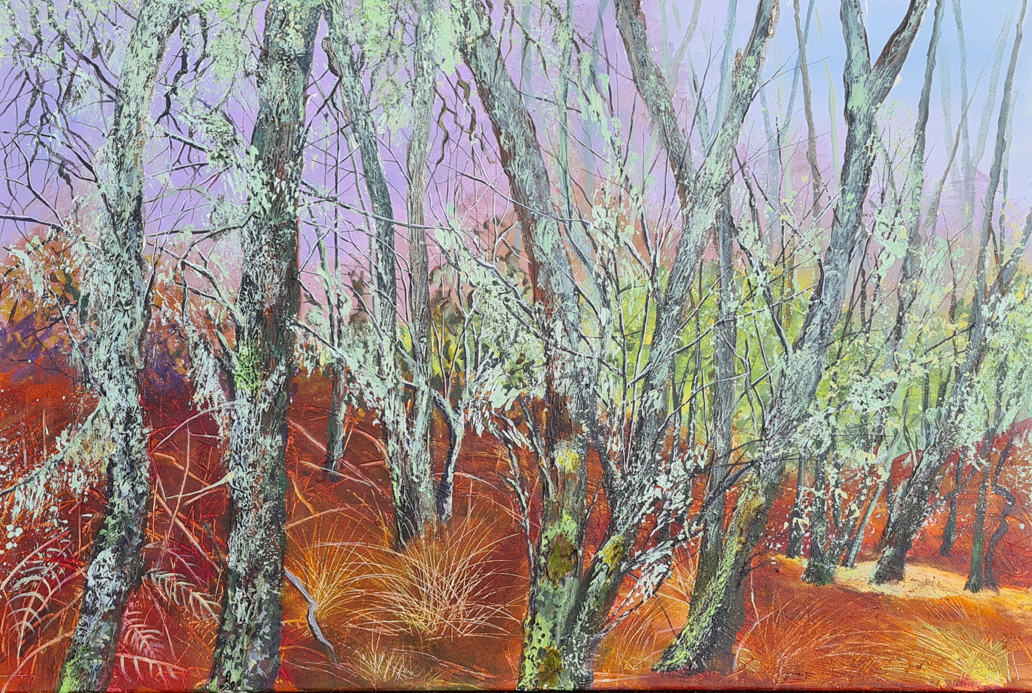 Atlantic Birch - Kentra