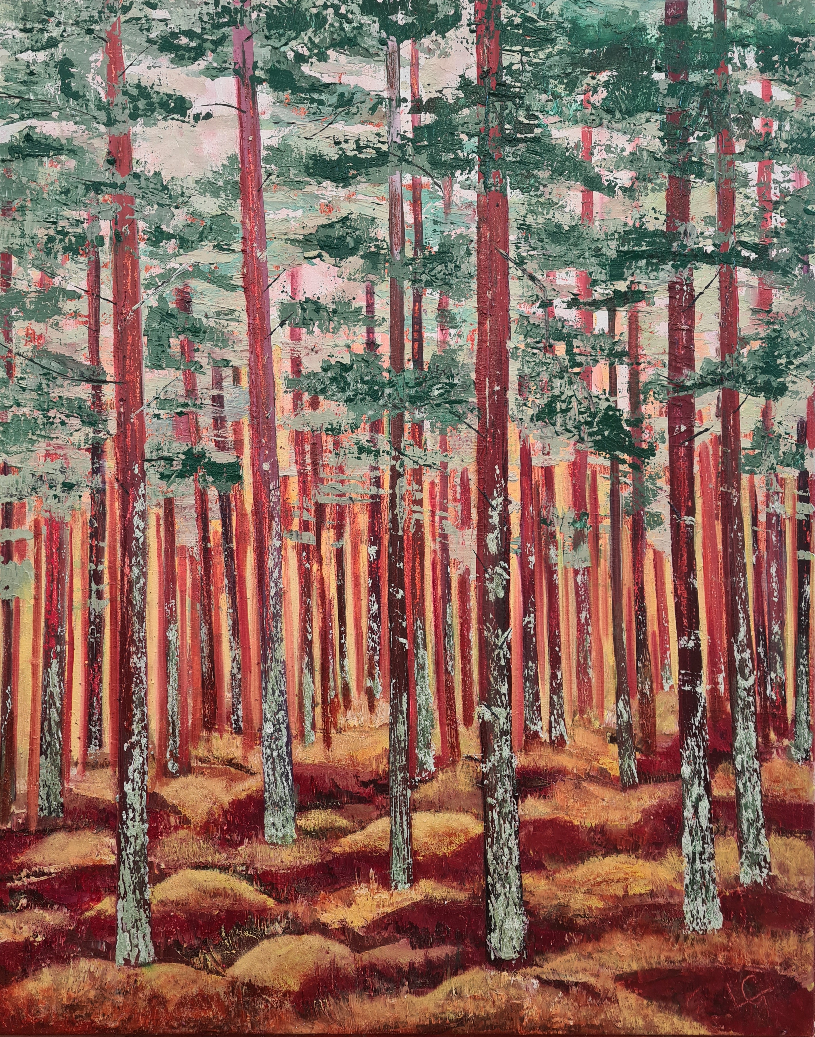 Winter Colour - Darnaway