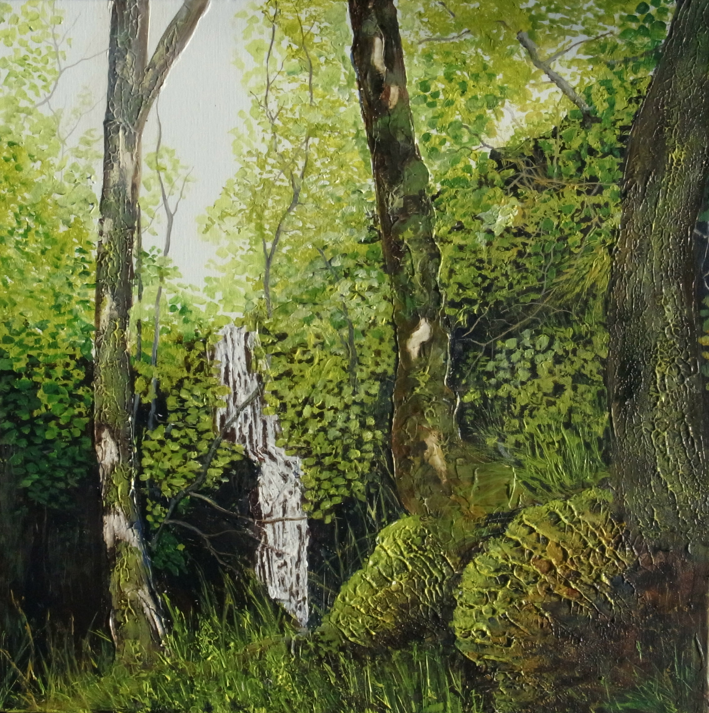 Hidden Sanctuary - Ardnamurchan