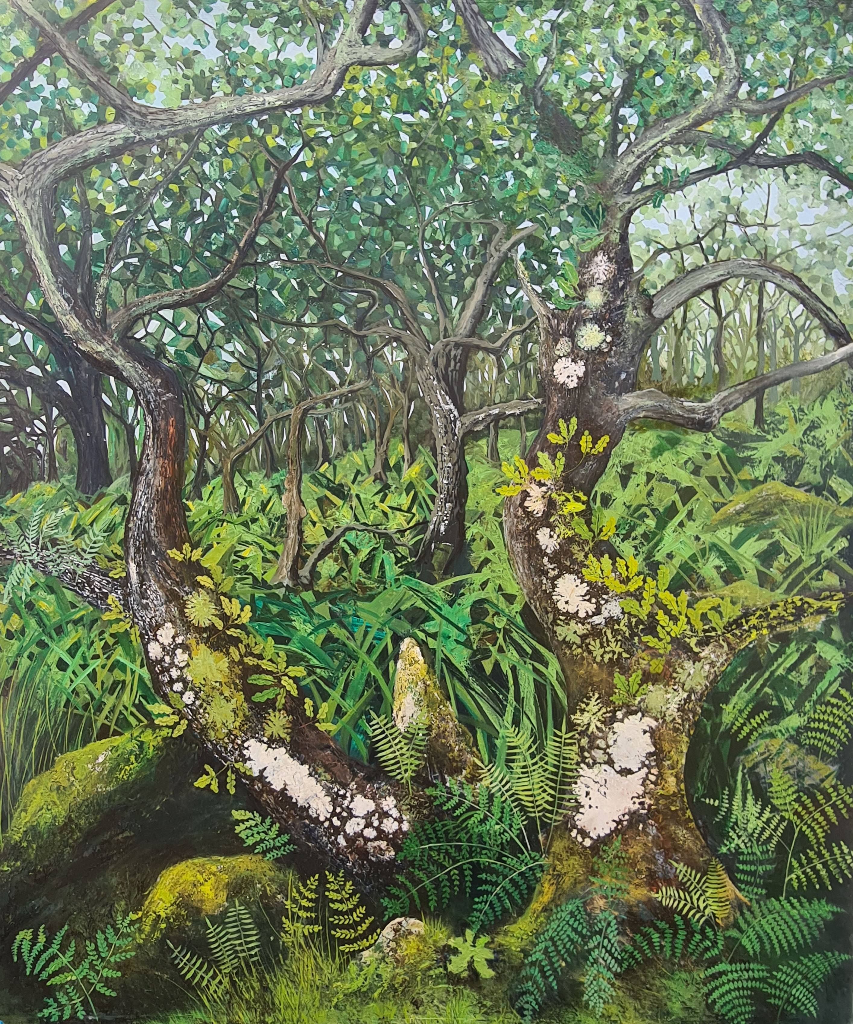 Thumbnail image for gallery Woodland