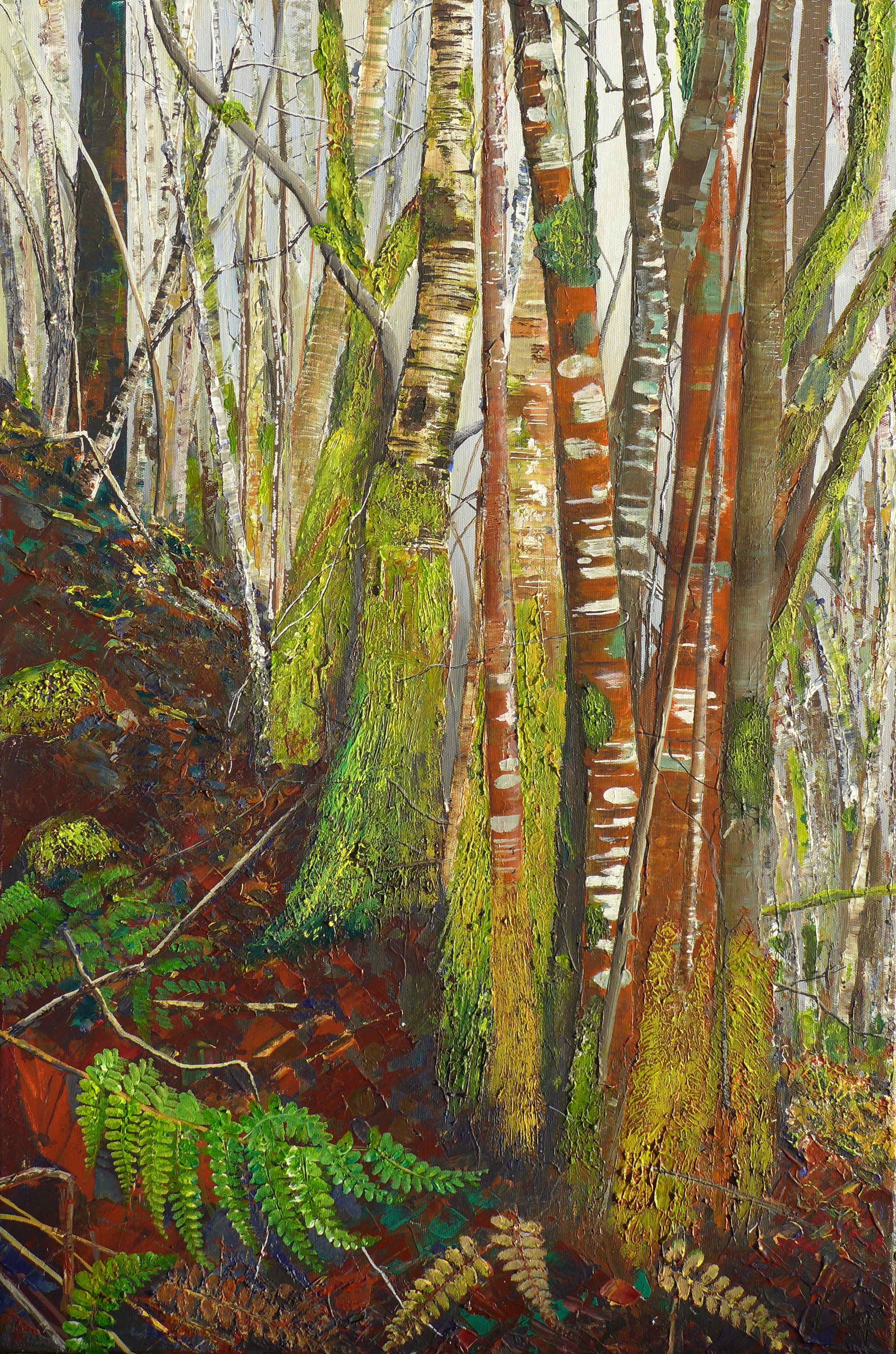 Mossy Coppice - River Moriston