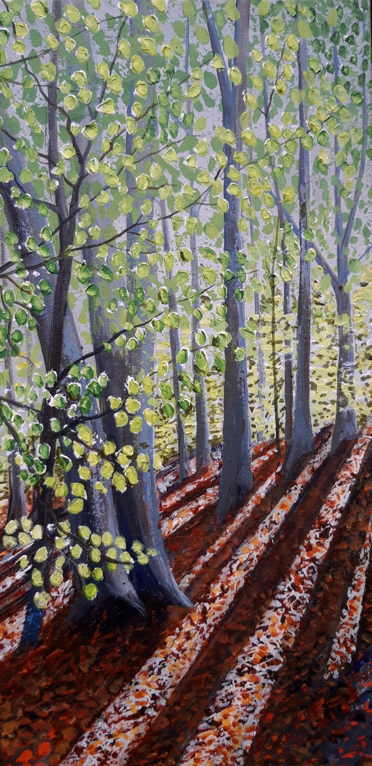 Streaming Light - Chapelton Woods