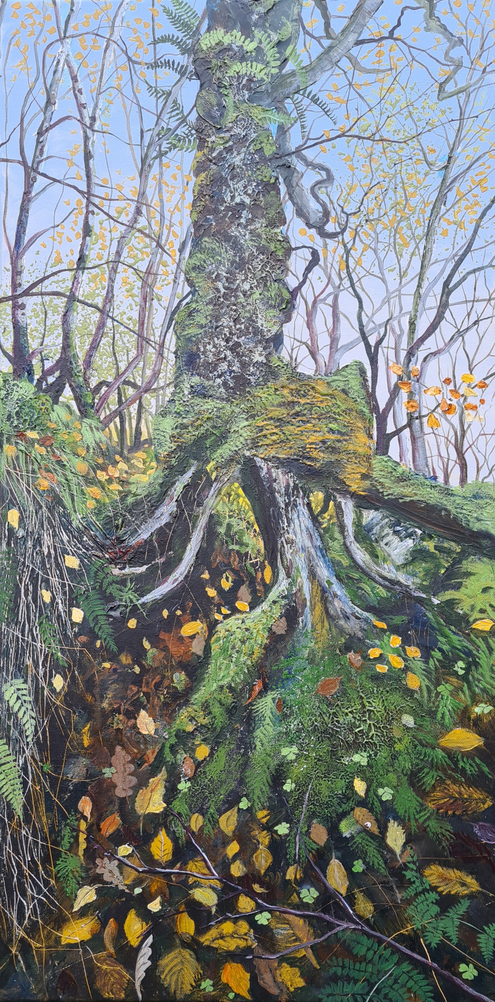 Inaccessible Venerable Birch above Morar