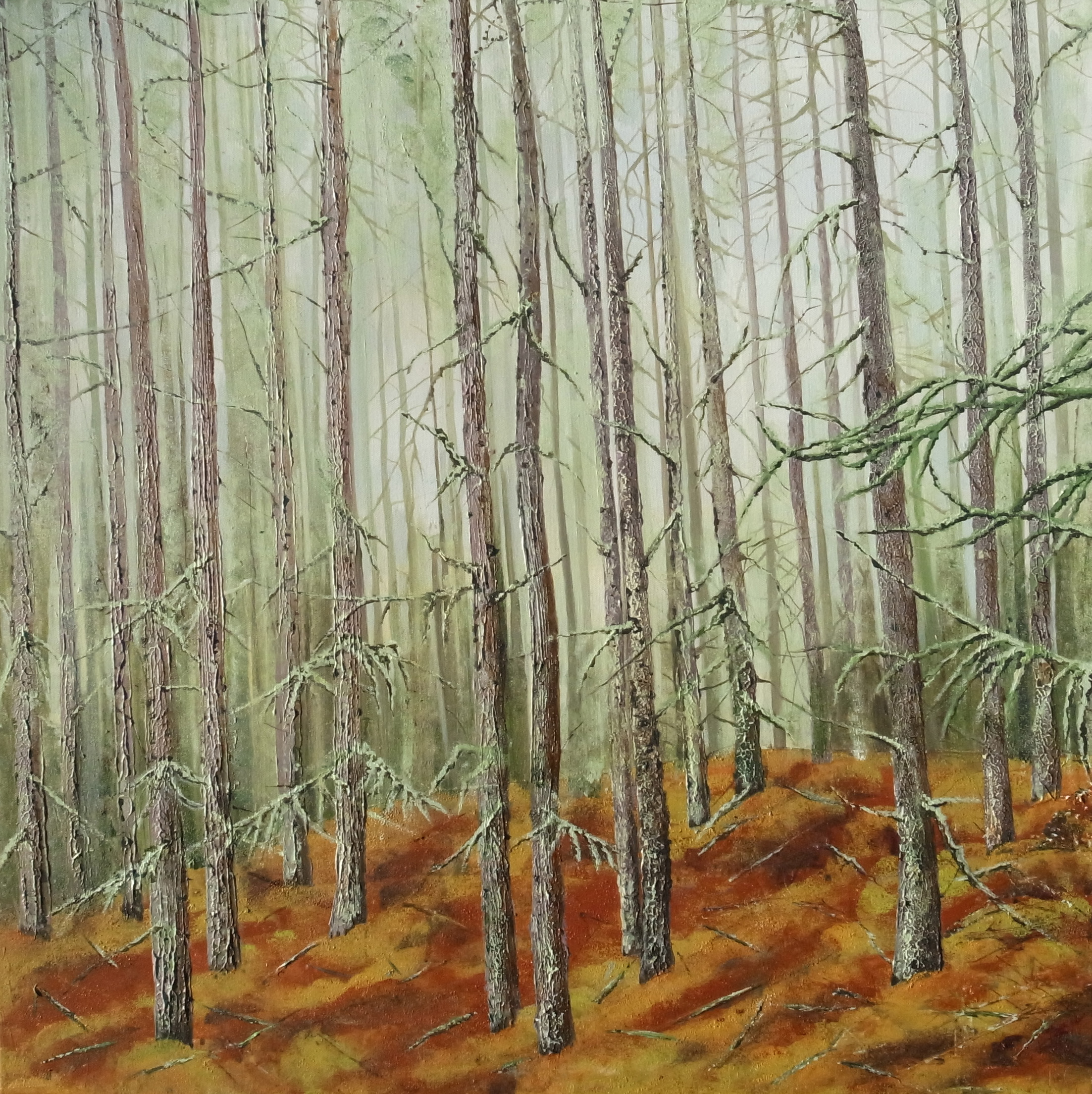 Soulful - Winter Larch - Abriachan