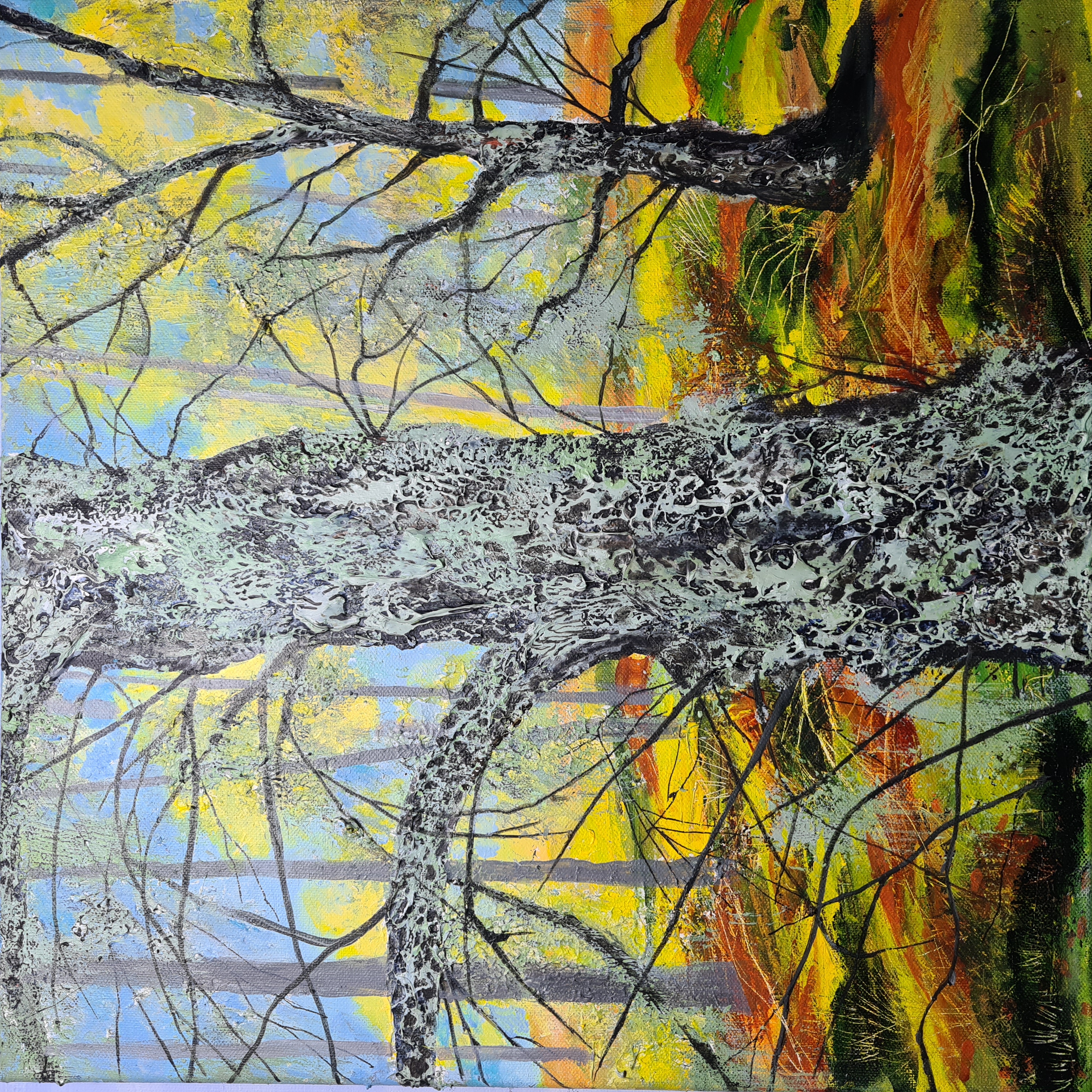 Mossy Birch - Loch Vaa