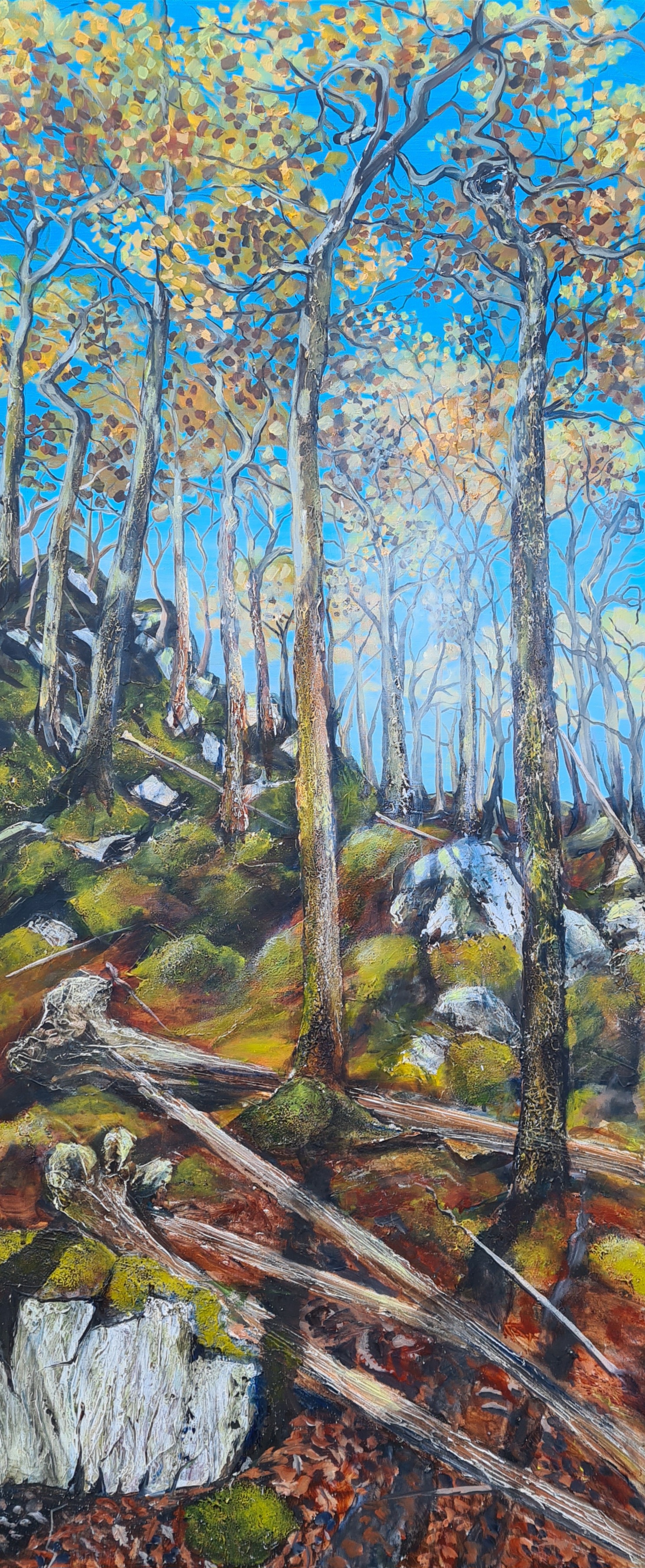 Remains of an Oakwood