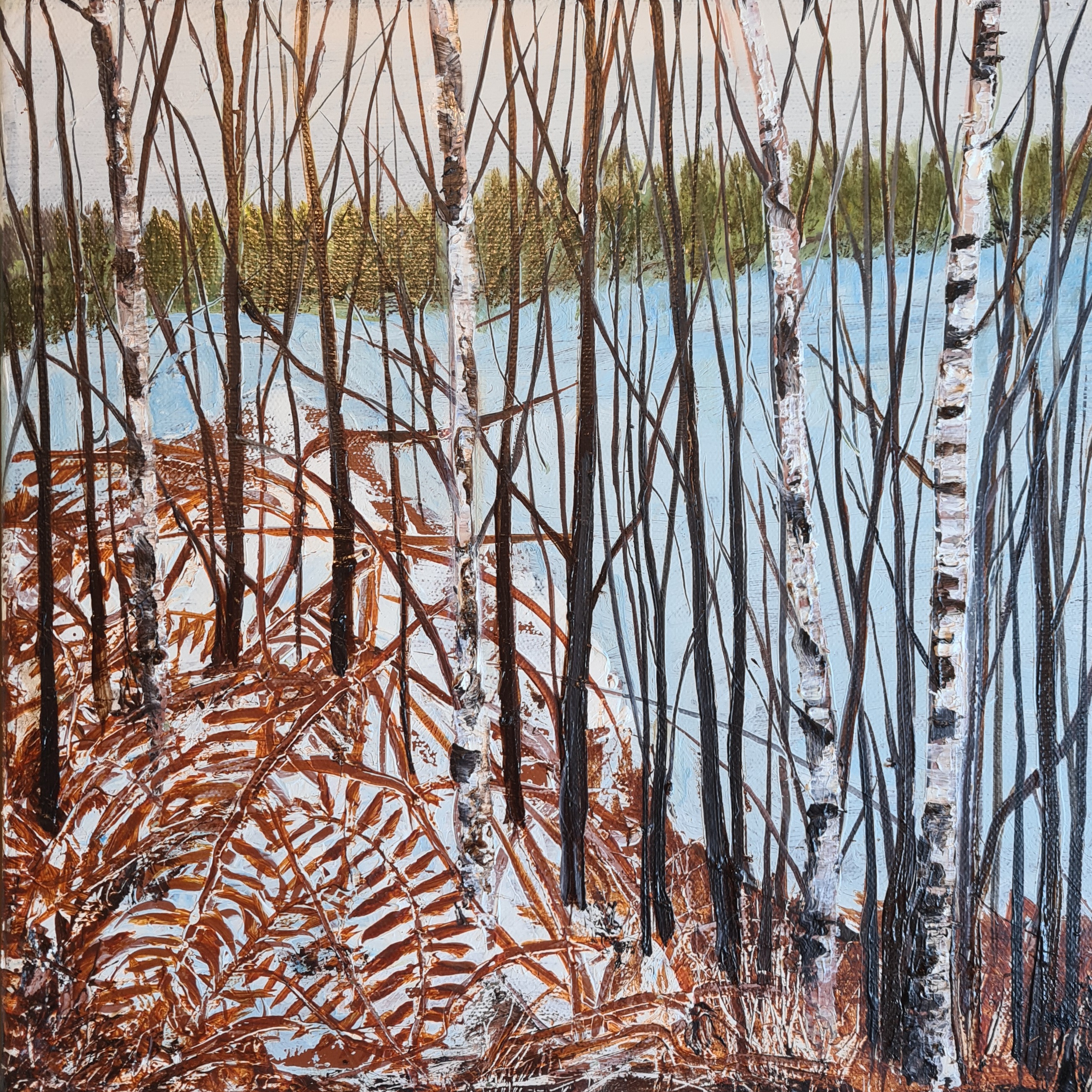 Winter Bracken with Young Birch