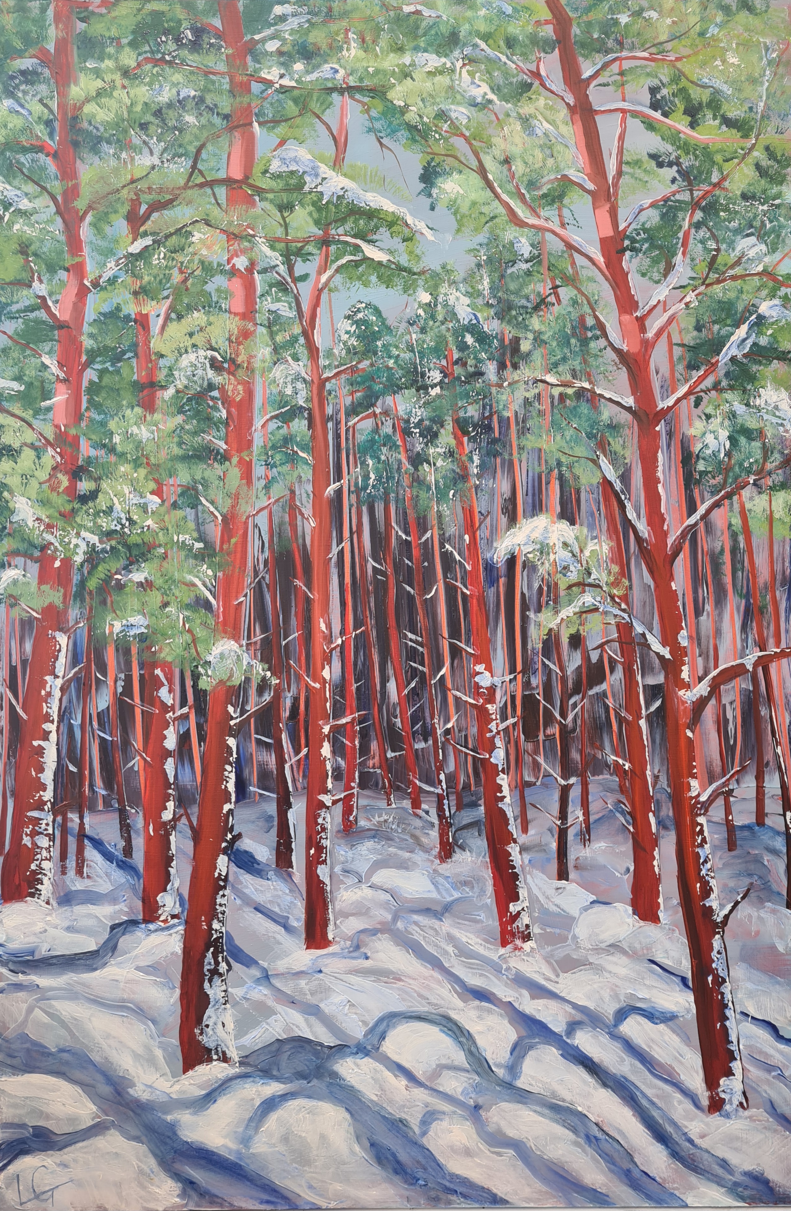 Elegantly Resolute - Snowy Pines - Slochd