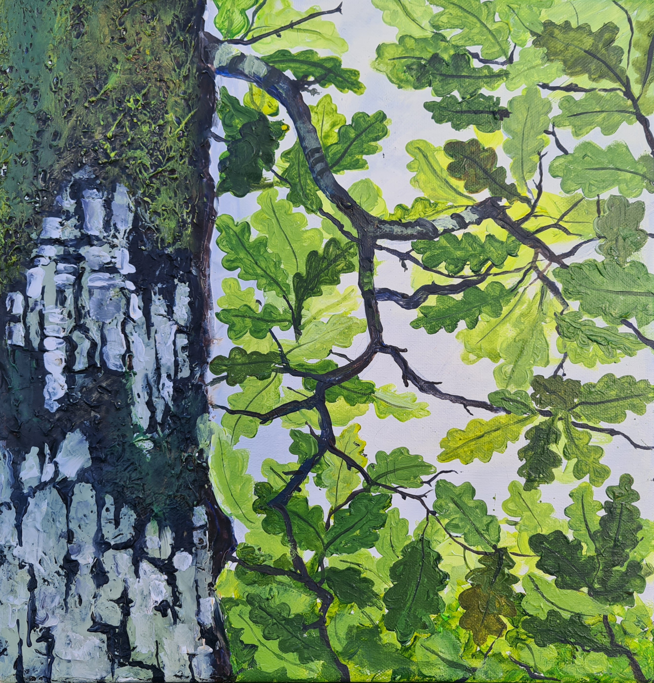 An Darrach I - Spring Fresh