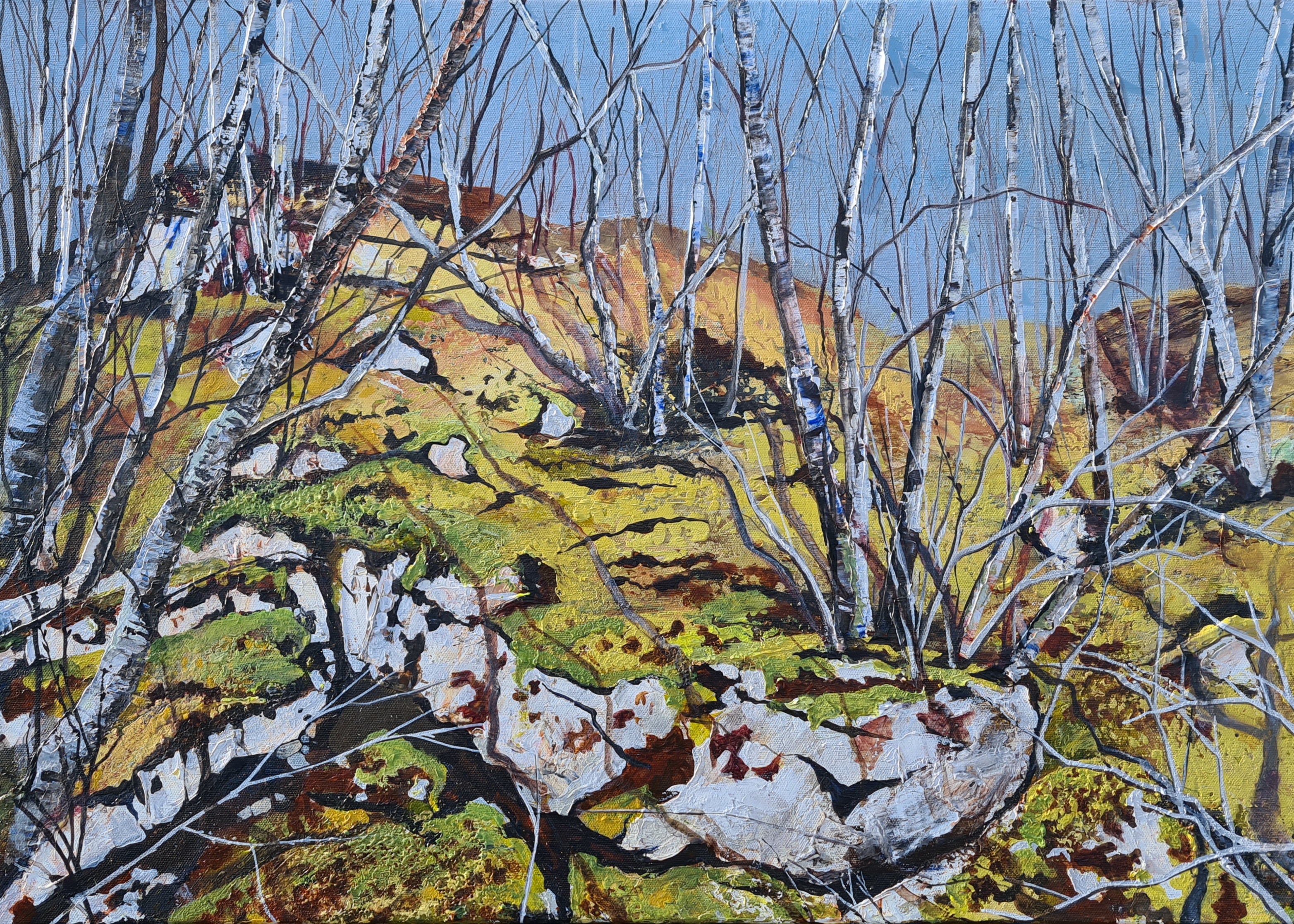 Mossy Crags with Birch