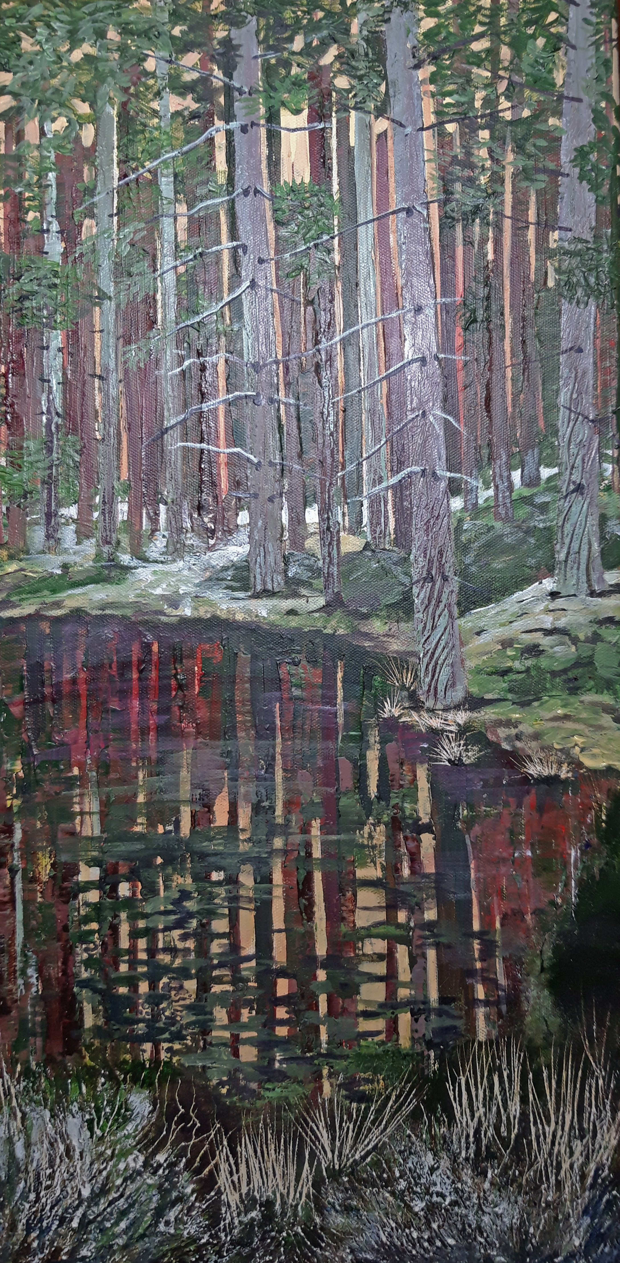 Winter Pines Reflected - Feshie Bridge