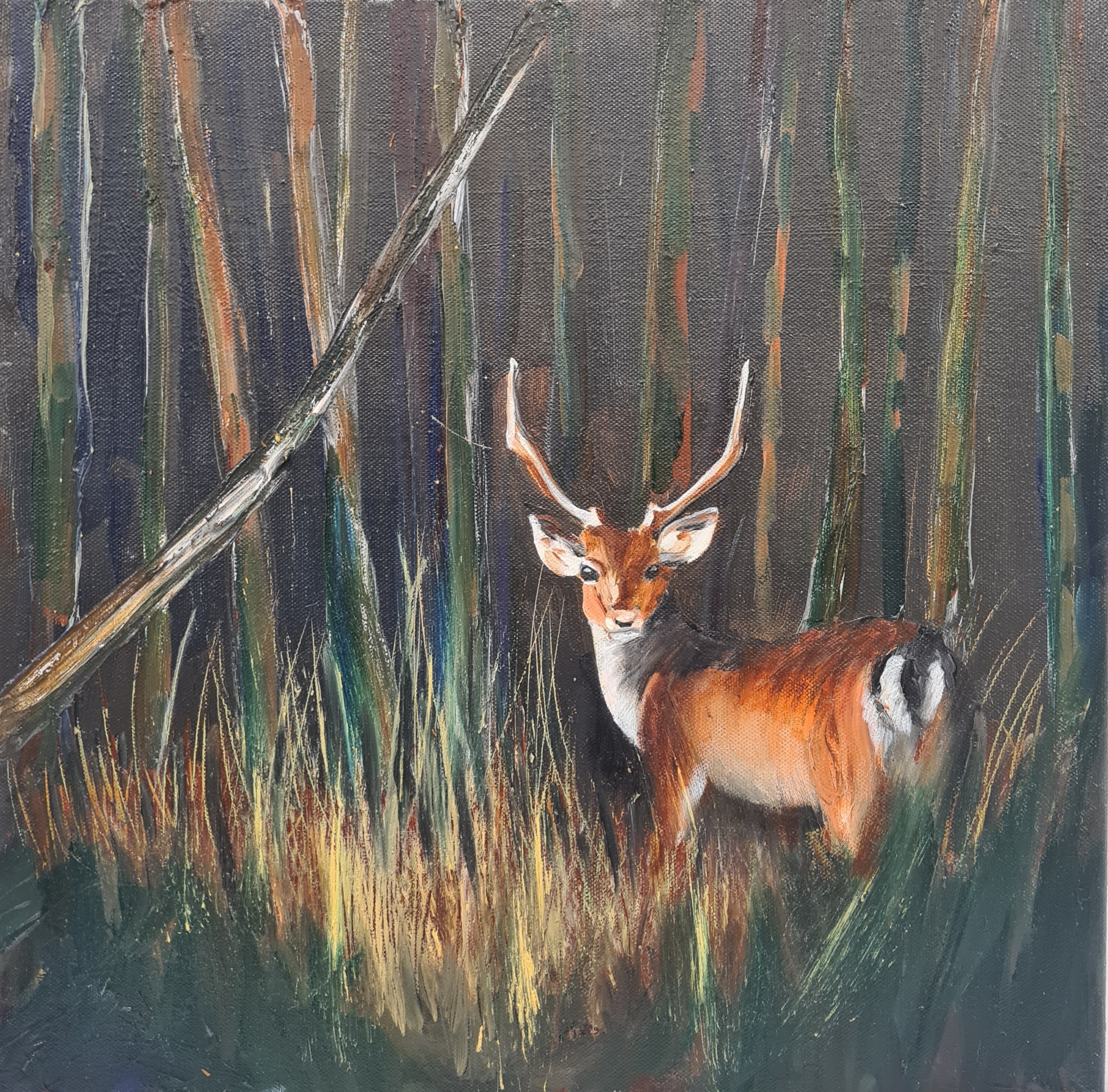 Tree Seedling Enemy No.1