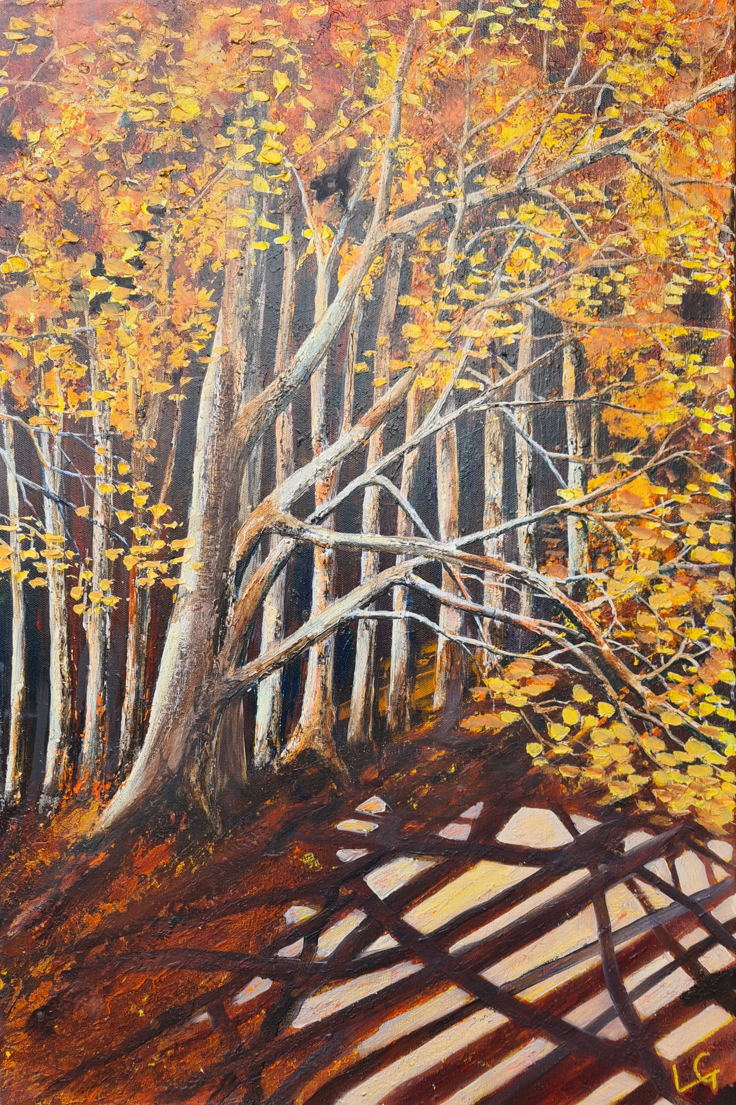 Golden Glow - Beech Glade - Kilmuir