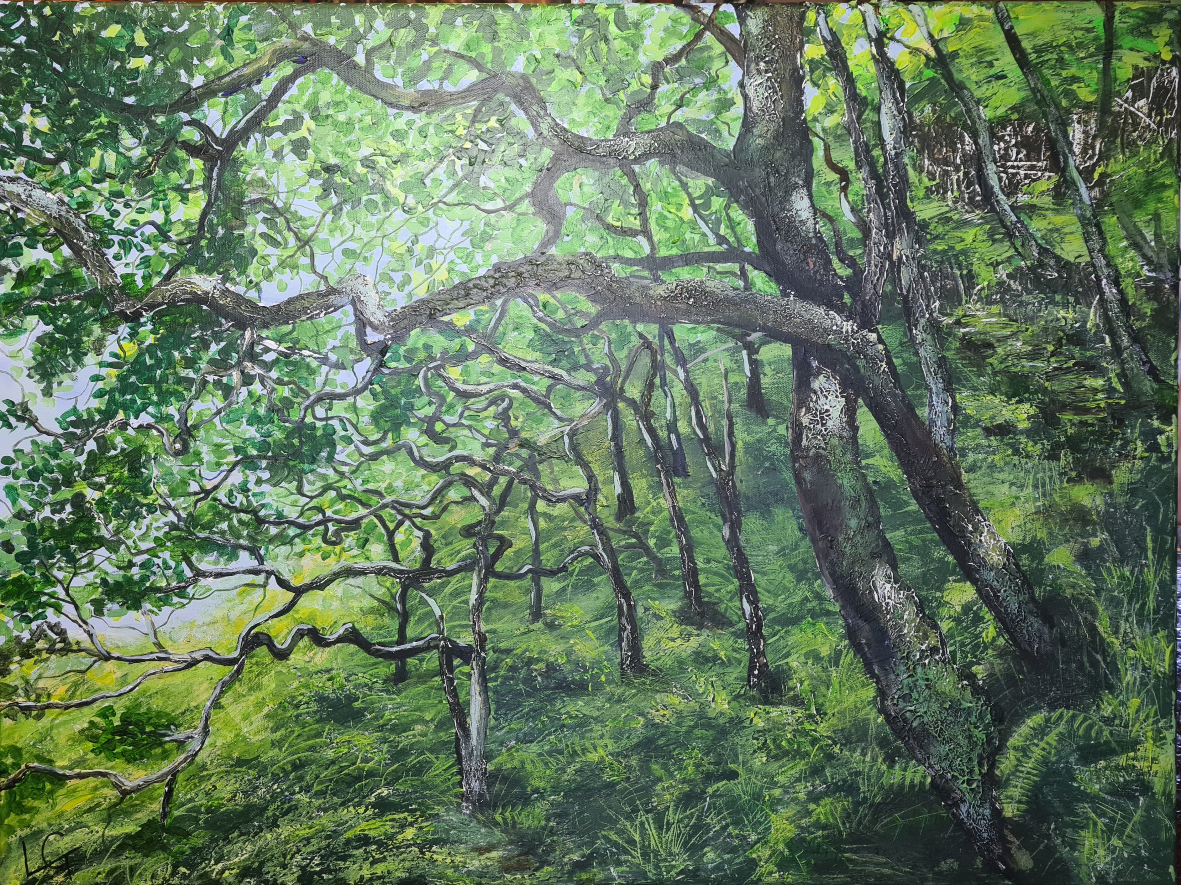 An Darroch II - Summer Lush - Shores of Loch Hourn