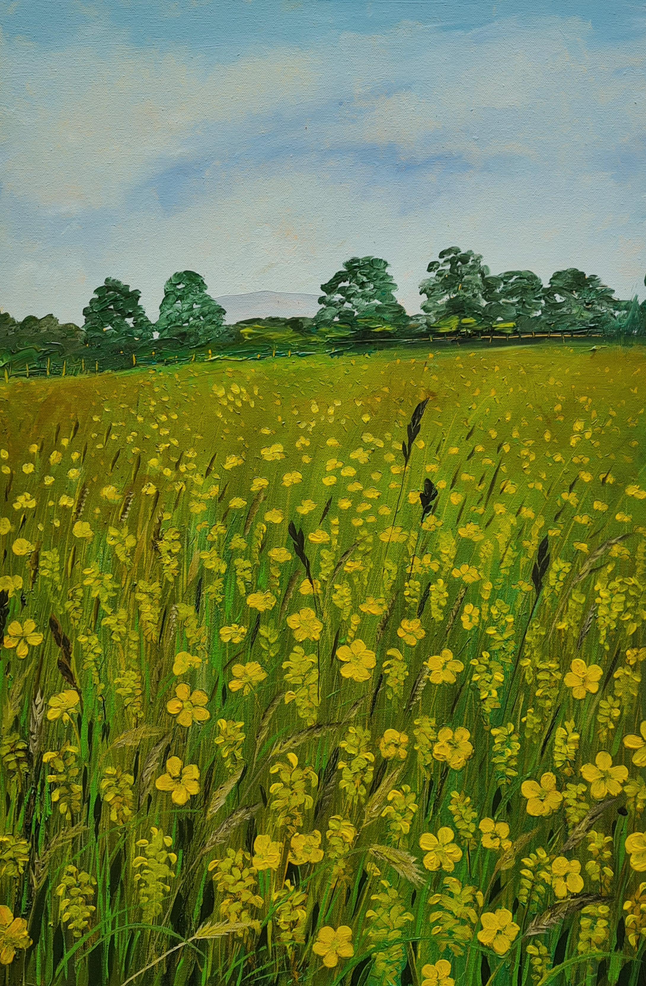 Meadow I - with Buttercup and Yellow Rattle