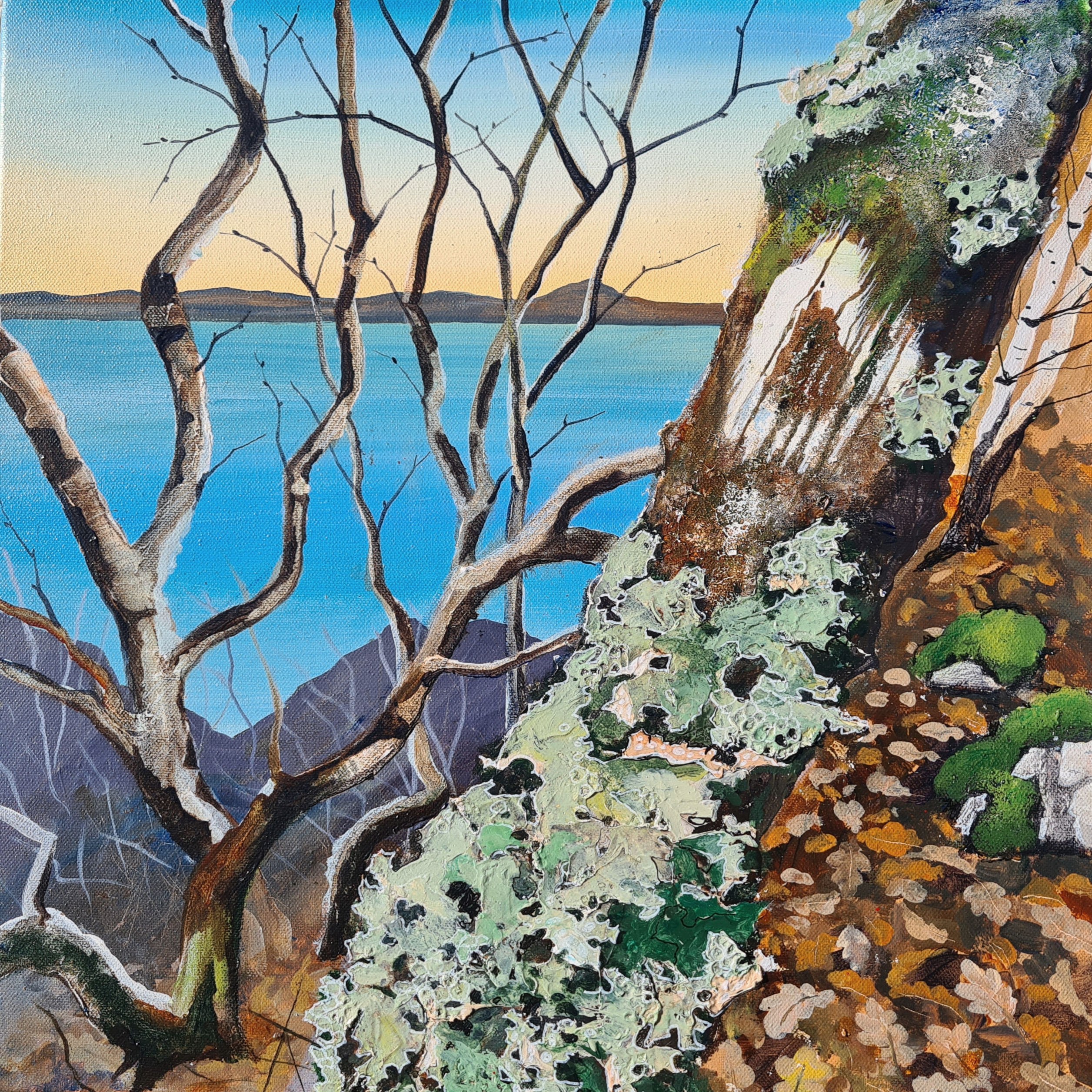 Lungwort on Oak near Mallaig